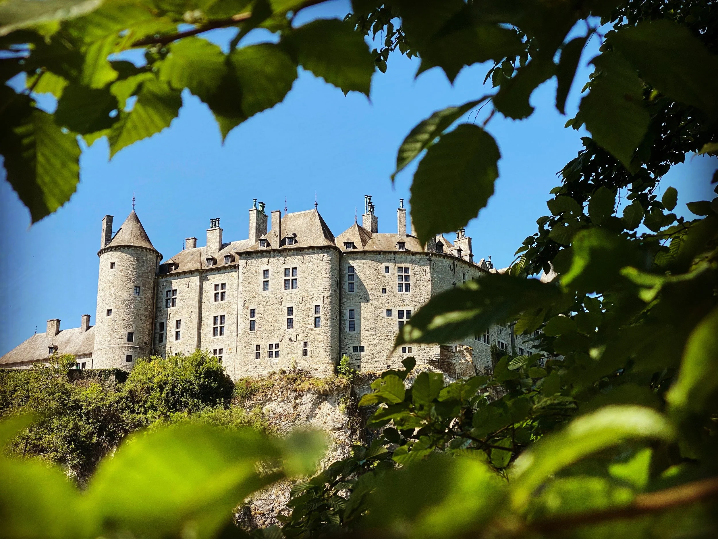 00074938-David Rivir-Chateau de Walzin.JPEG