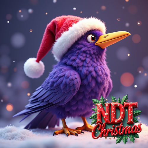 NDT Christmas - 12 Days of Christmas