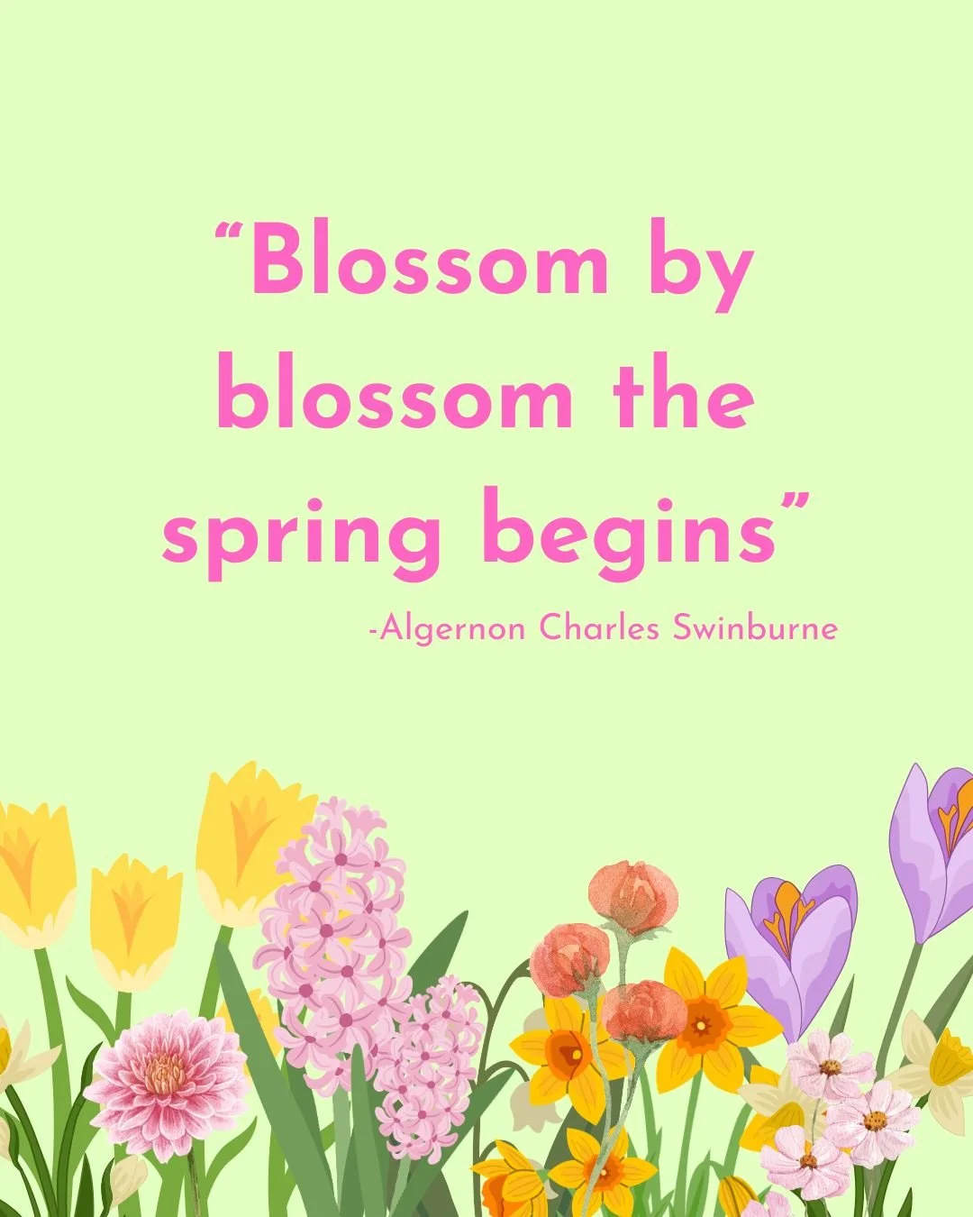 Blossom by blossom, spring begins 🌷
So does connection. Every conversation, every visit, every shared story helps bring us closer together. Share you story in the link in our bio!💛

 #olderadults #connecting #bestdayofmylifesofar #wisdom #storiesma
