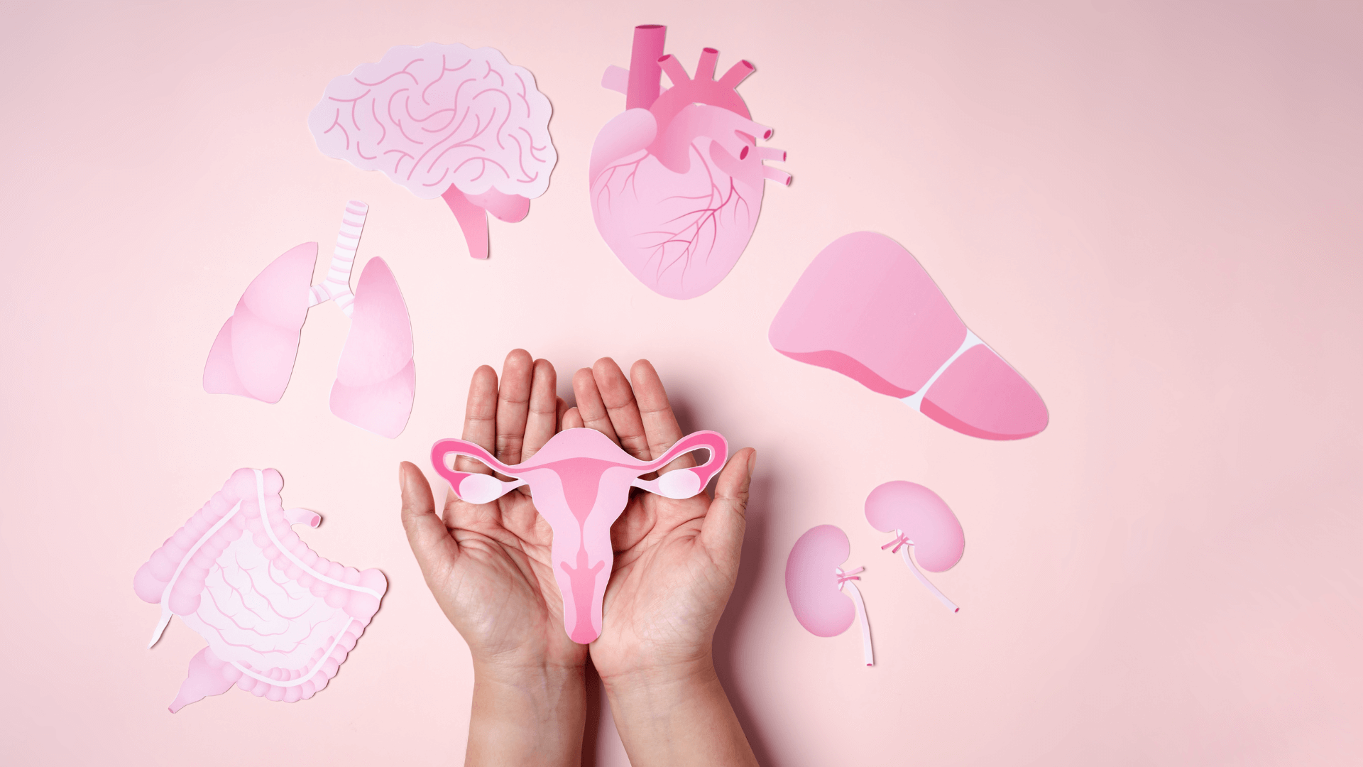 International Day of Action for Women’s Health