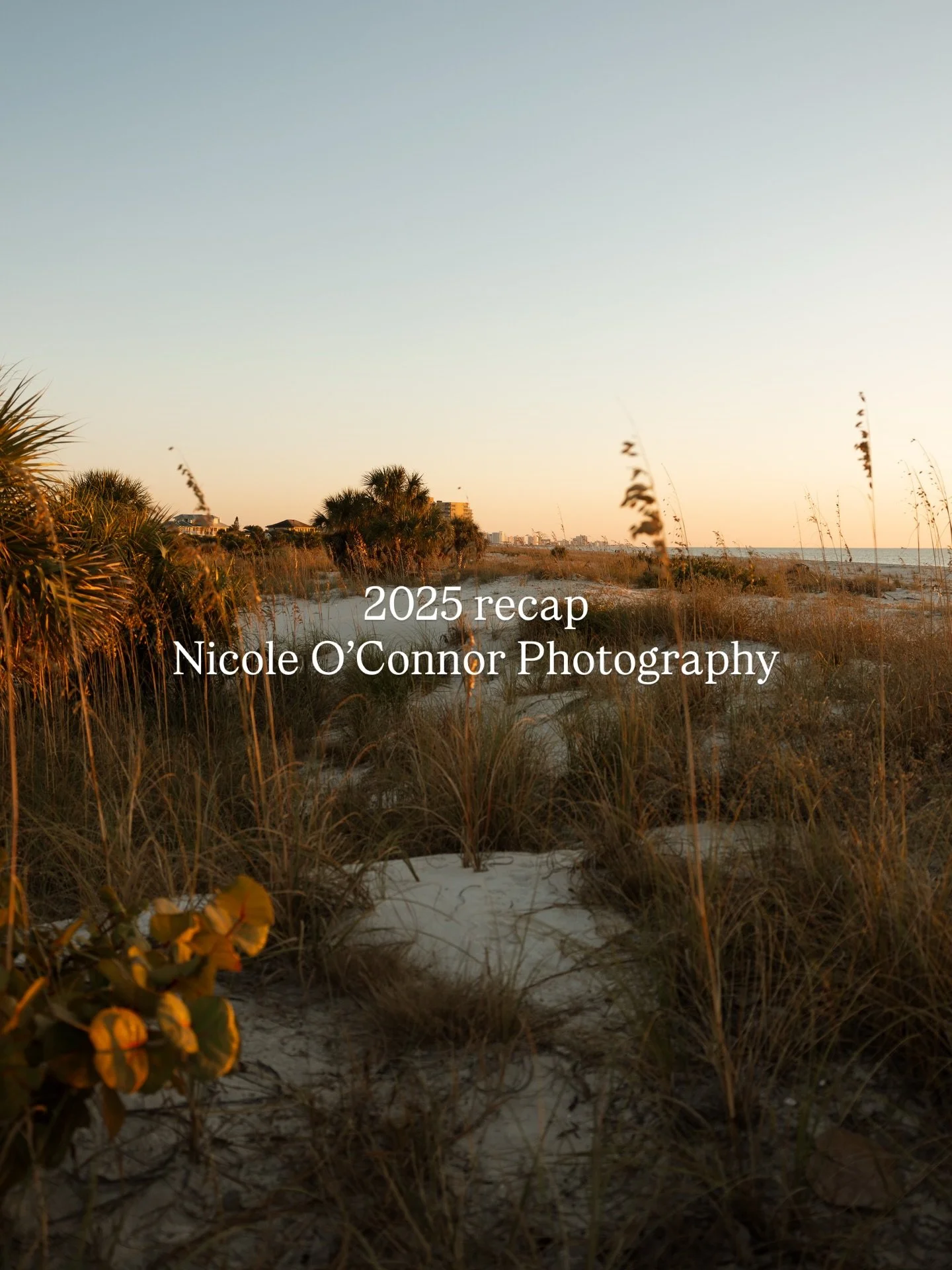 2025 recap 🫶🏼 a year of many firsts, change, and growth that I am SO excited about. Thank you to all the amazing couples and families for a great year. 2026 let&rsquo;s do it ✨

#tampaphotographer #tampafamilyphotographer #tampaengagementphotograph