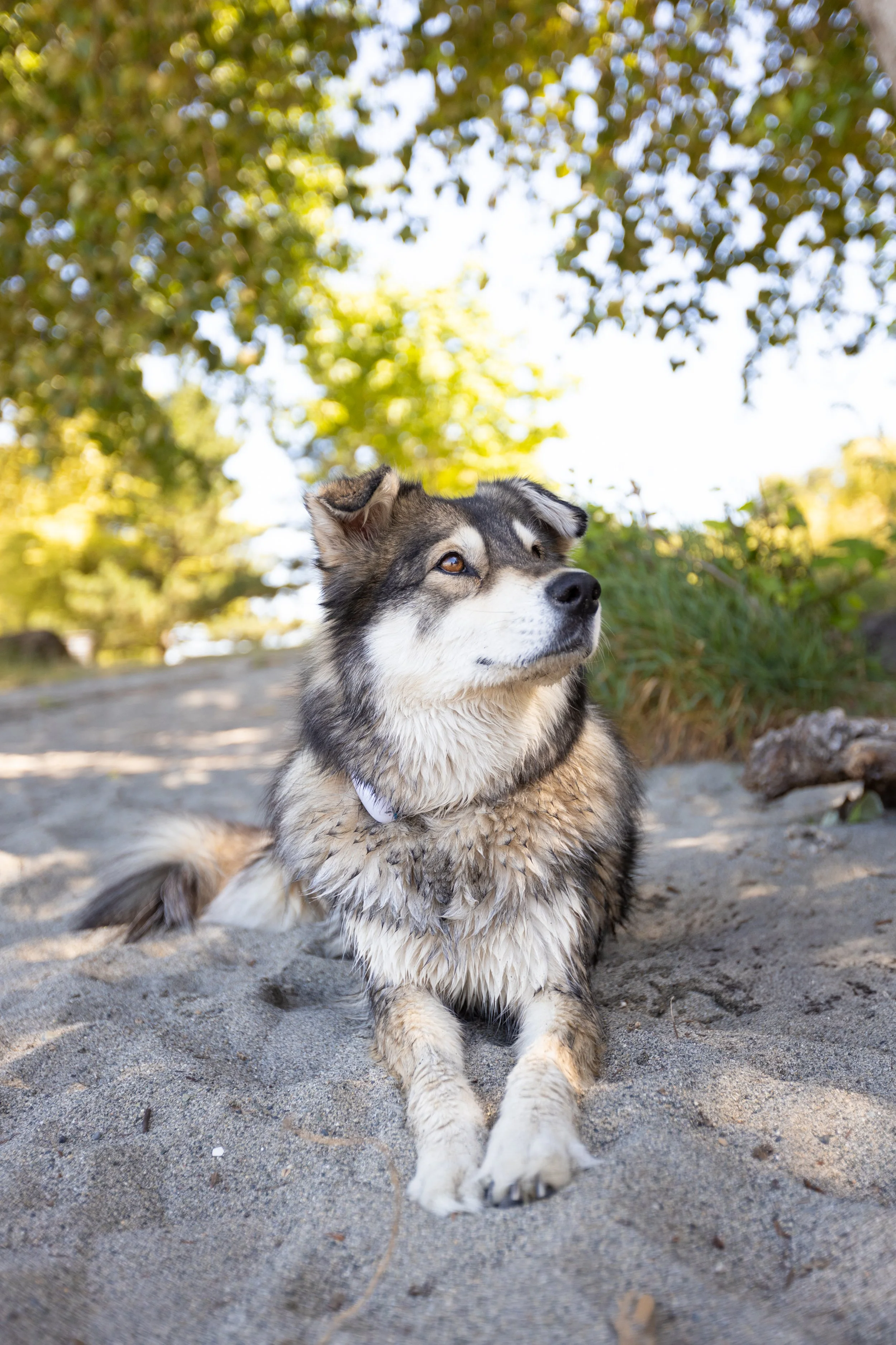 Goda Recorded - Arlo's Naturals-75.jpg
