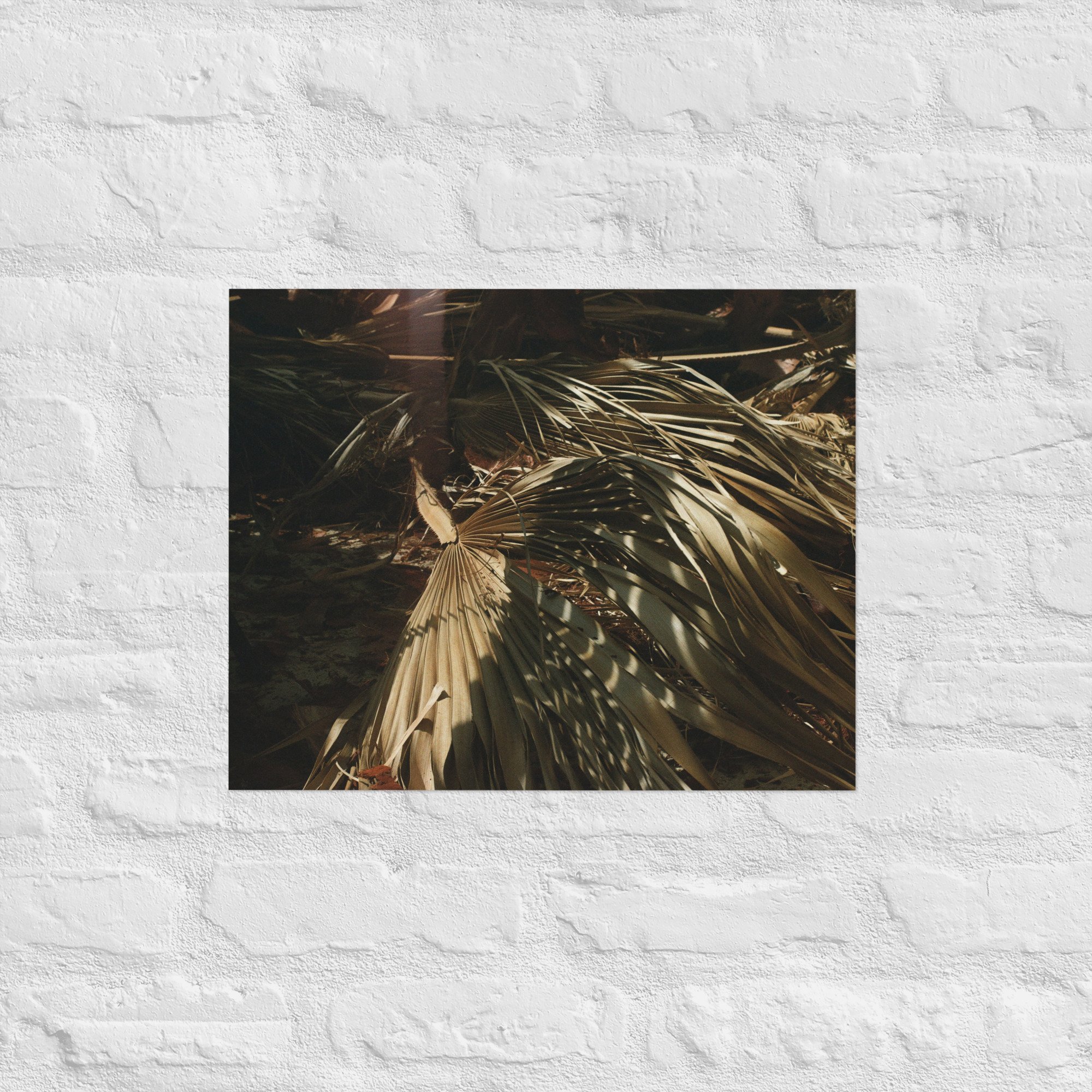 enhanced-matte-paper-poster-(in)-16x20-front-67dc59465fb86.jpg