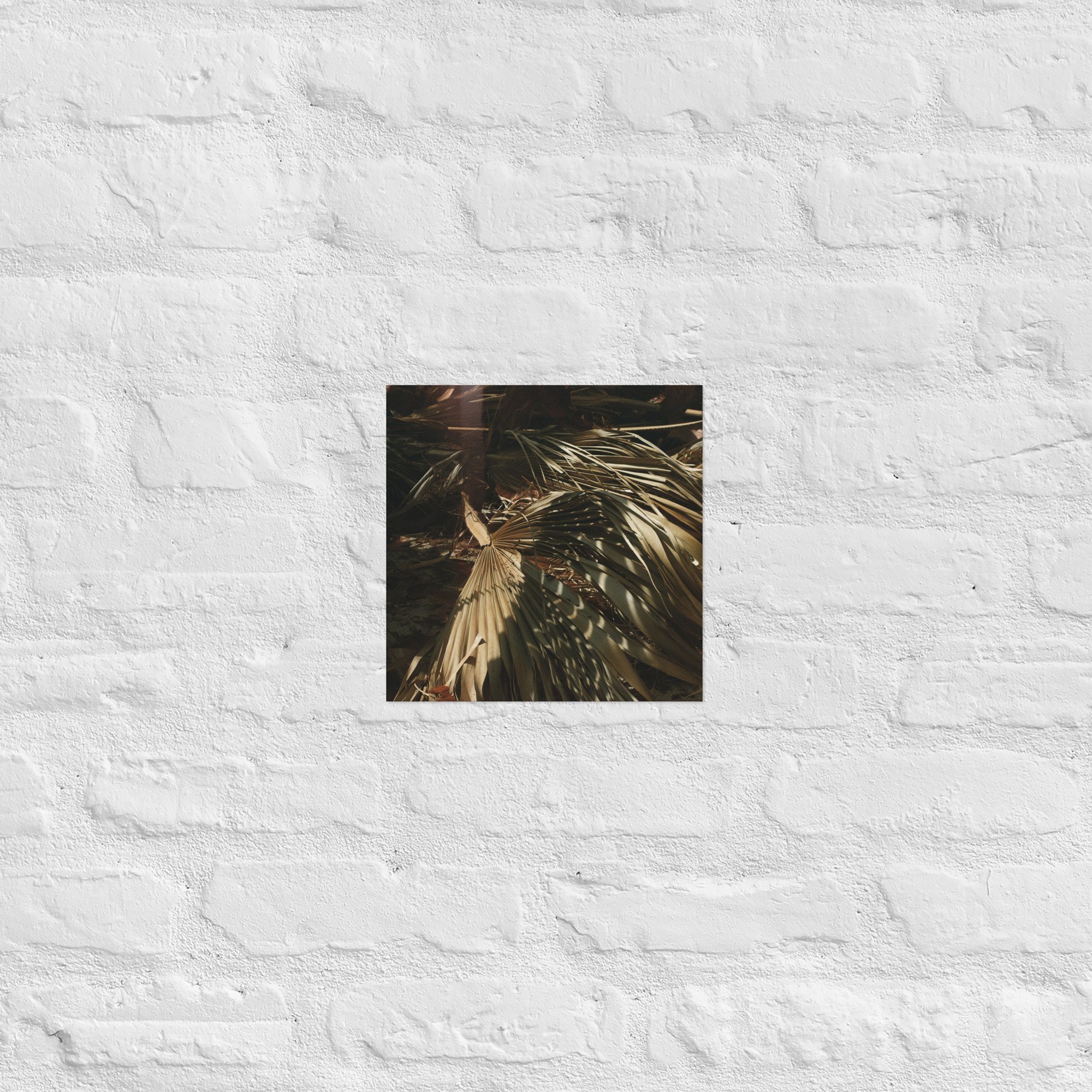 enhanced-matte-paper-poster-(in)-10x10-front-67dc5946604e5.jpg