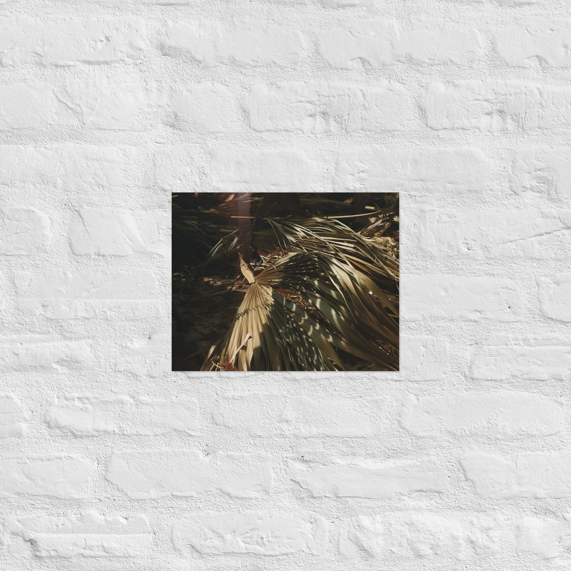 enhanced-matte-paper-poster-(in)-11x14-front-67dc594660610.jpg