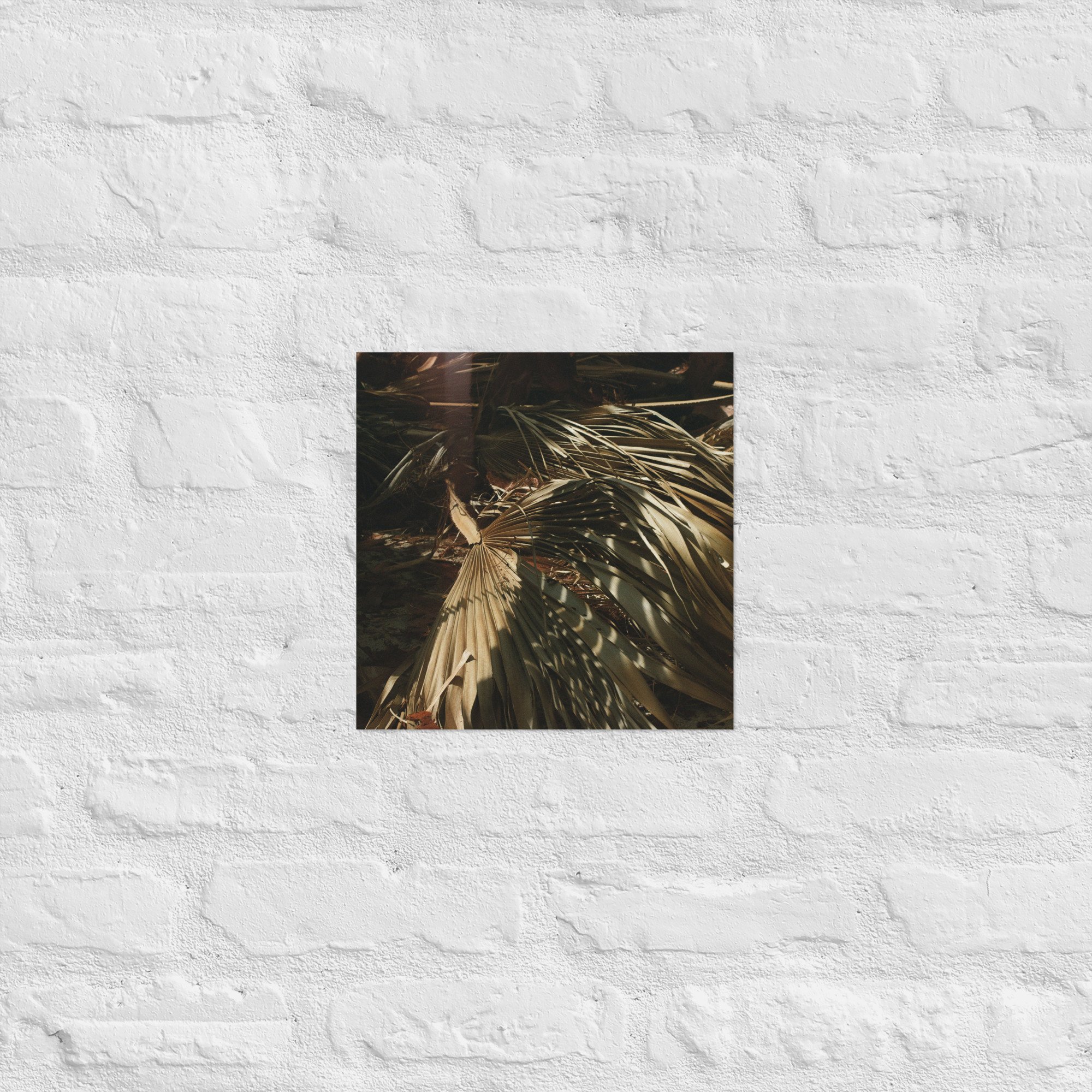 enhanced-matte-paper-poster-(in)-12x12-front-67dc5946606e2.jpg