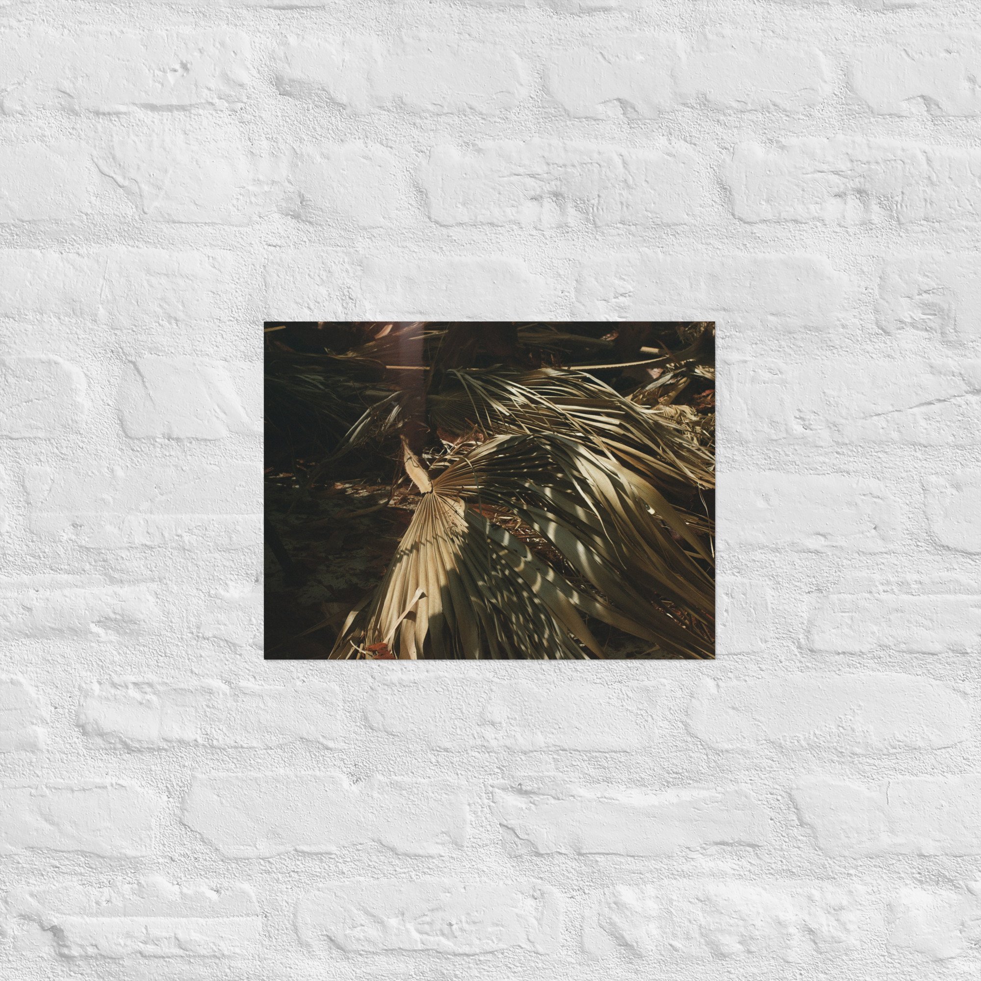 enhanced-matte-paper-poster-(in)-12x16-front-67dc59466078e.jpg
