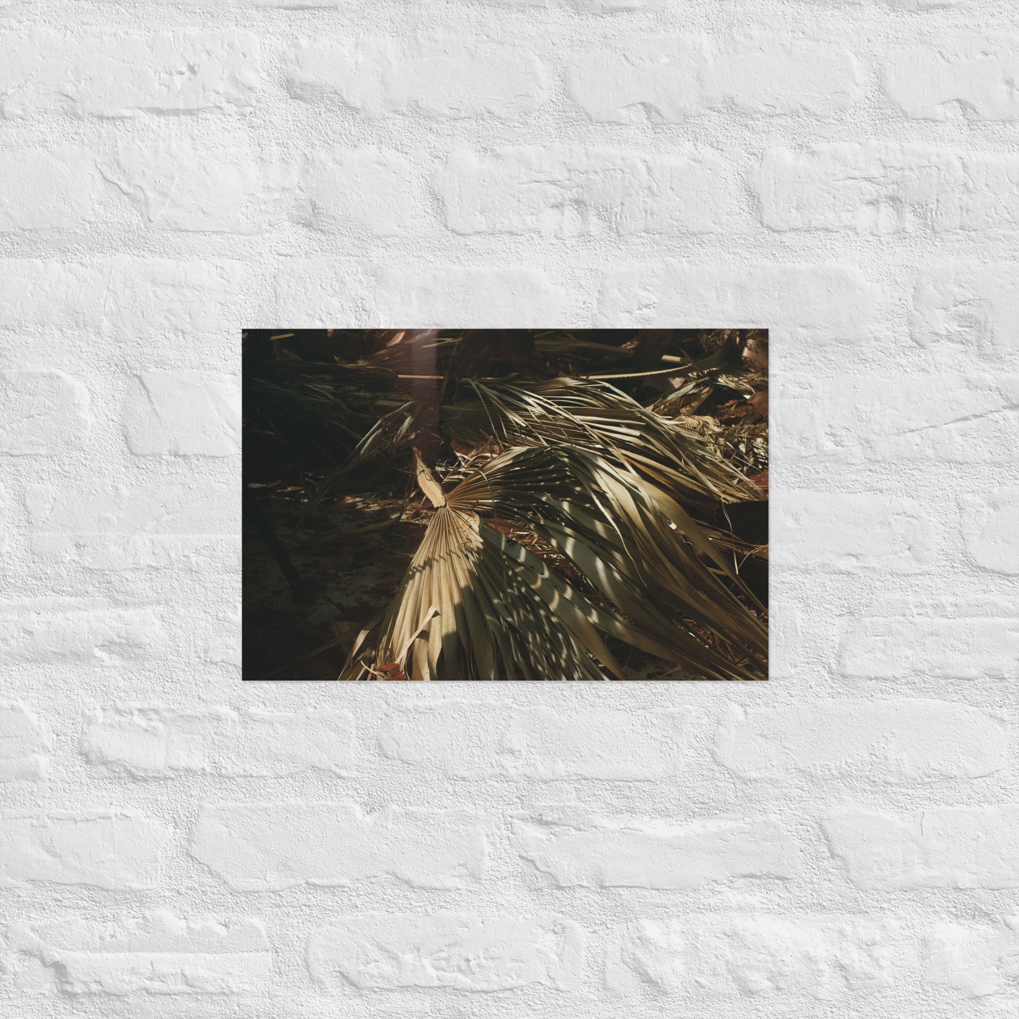 enhanced-matte-paper-poster-(in)-12x18-front-67dc594660850.jpg