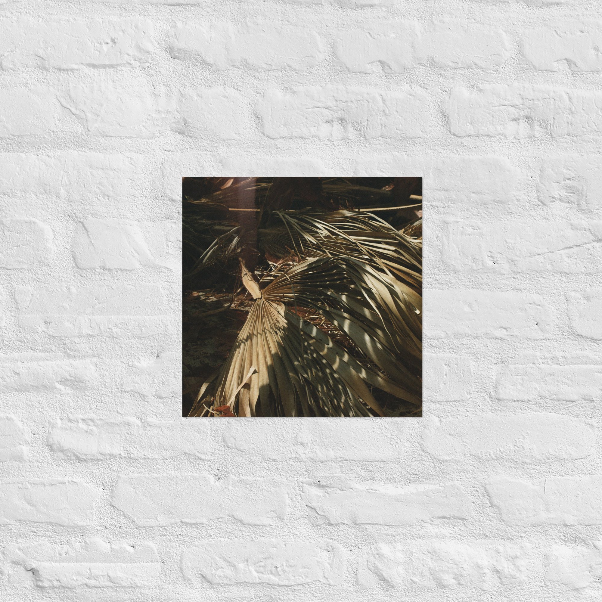 enhanced-matte-paper-poster-(in)-14x14-front-67dc594660960.jpg