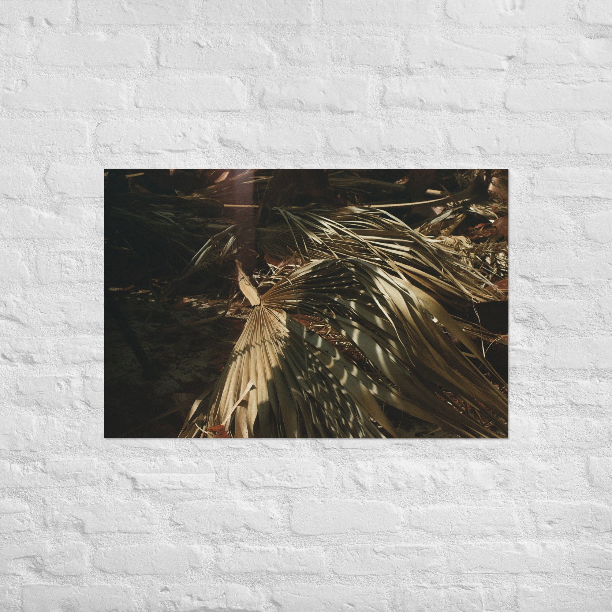 enhanced-matte-paper-poster-(in)-24x36-front-67dc594660e2e.jpg