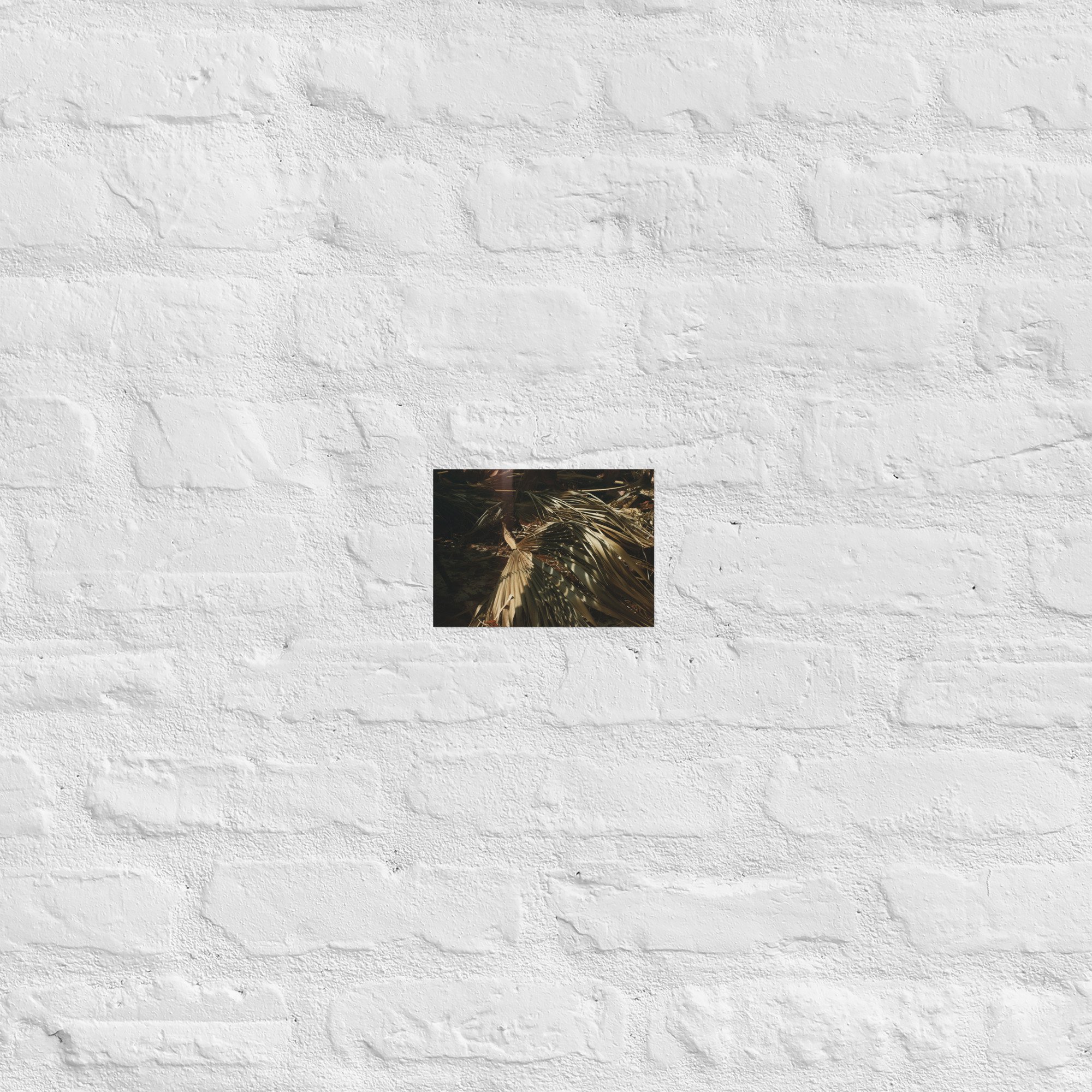 enhanced-matte-paper-poster-(in)-5x7-front-67dc594660f3b.jpg