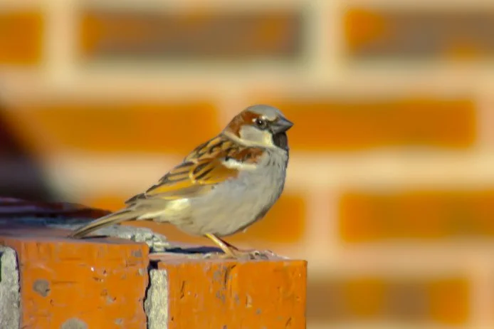 20240212165905_IMG_2035 (1).jpg