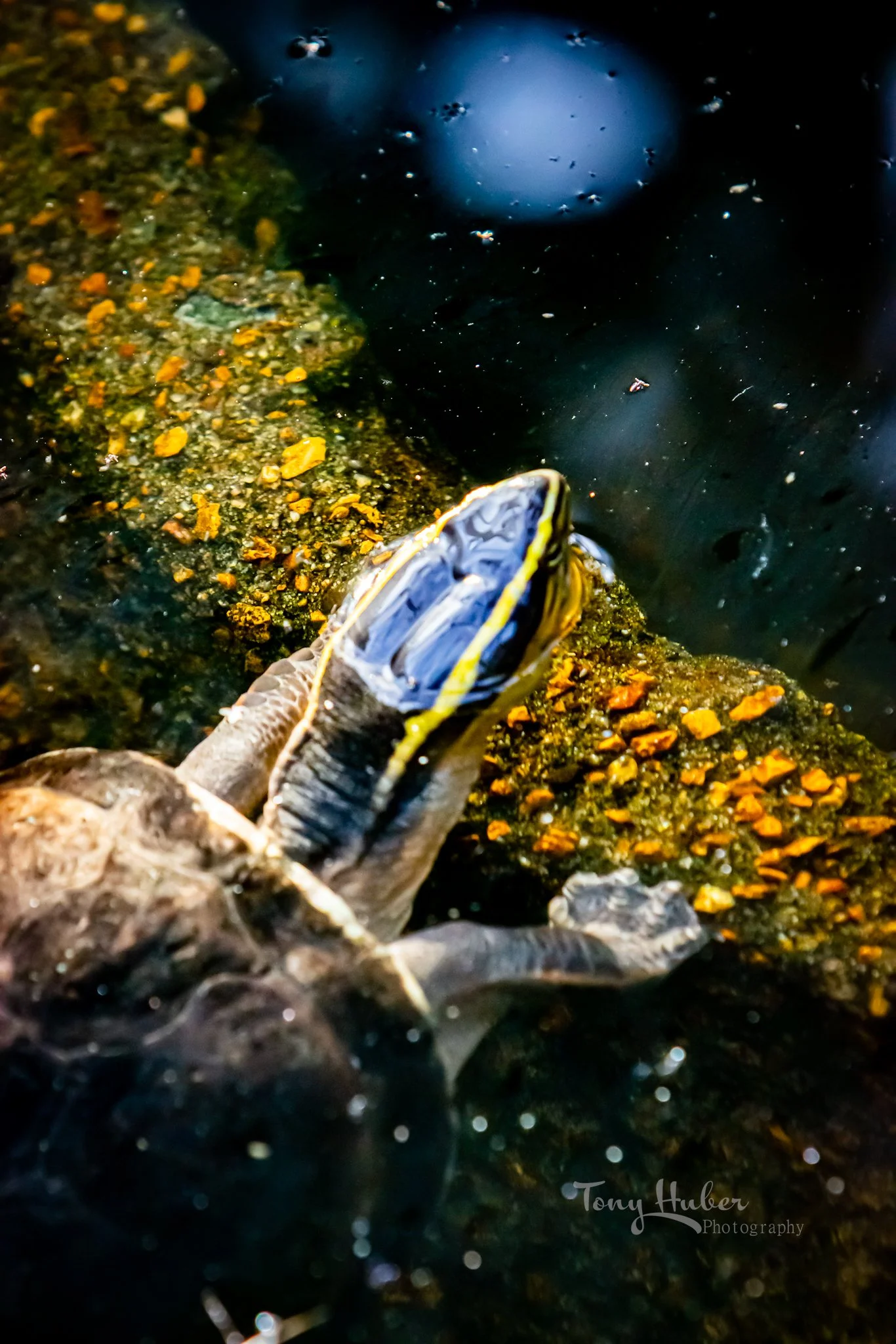 230429162900_TH (1).jpg