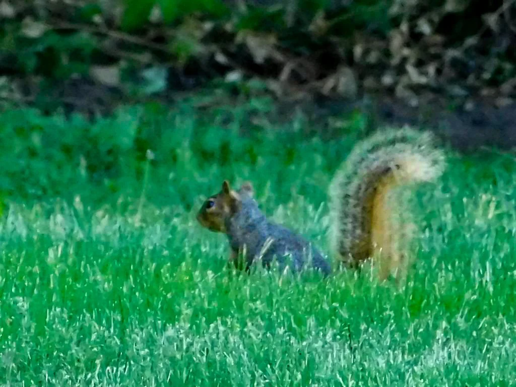 1683504678144_JG.jpg