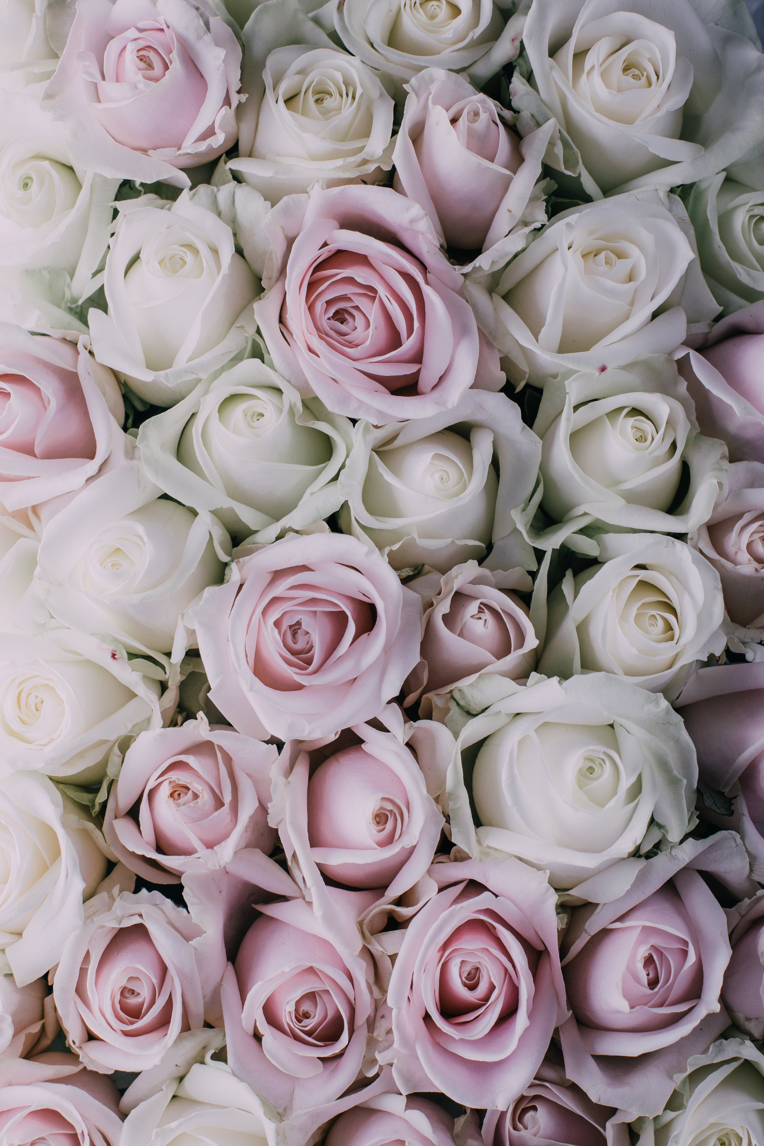 wedding flowers Video Archive