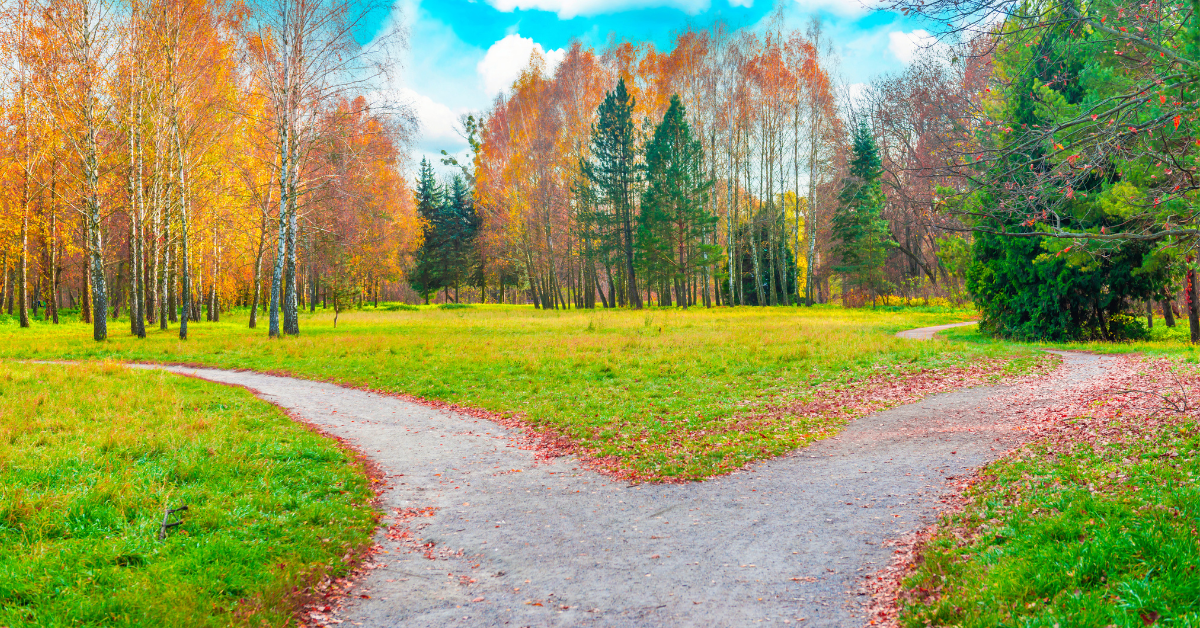 Data Engineering and Sales. Living in the Crossroads of Code and Conversions