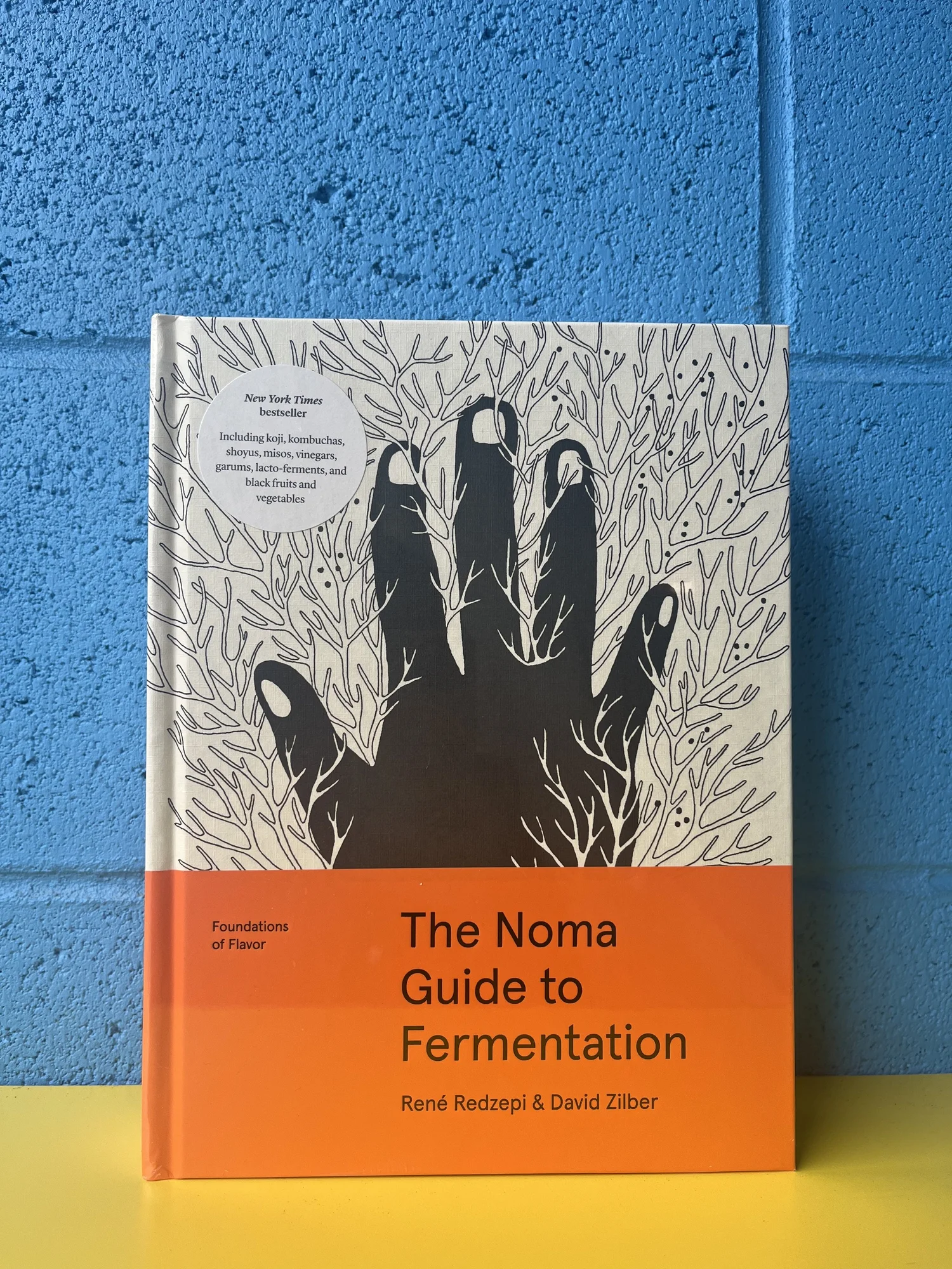 NOMA guide to fermentation — Ultra Culture