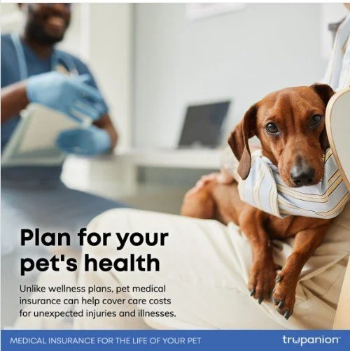 Trupanion Insurance