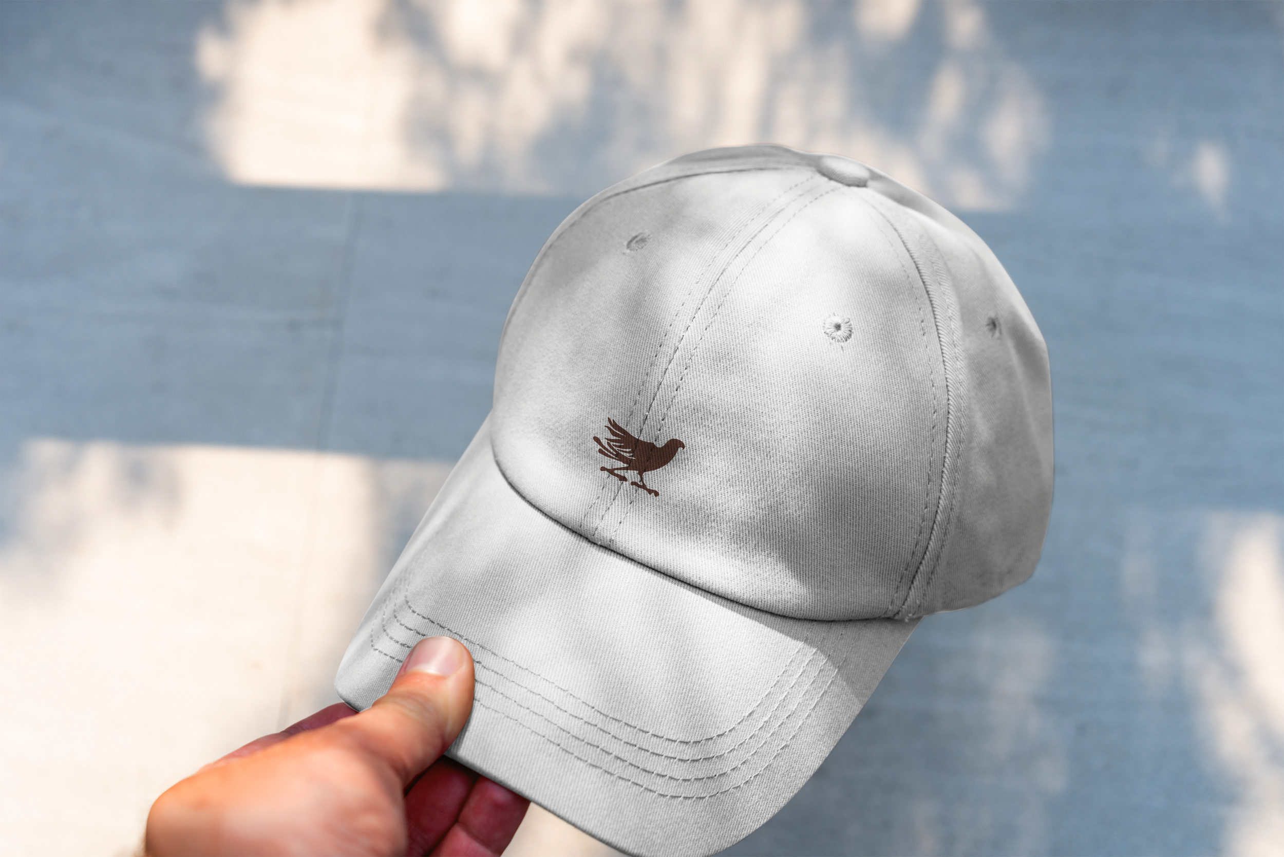 Person holding a light gray baseball cap with a falcon embroidered on the front, against a blue and white background.