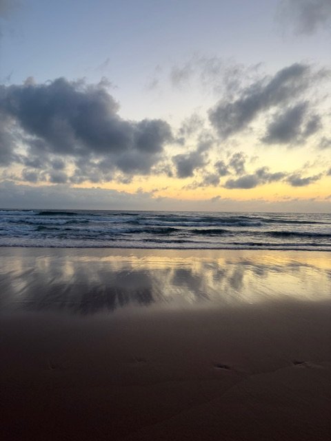 ↑ Morning Reflections, Michelle Eagles