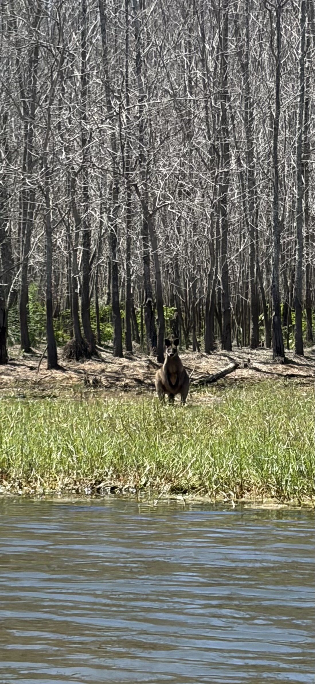 ↑ Wetting the Feet, Paul Madigan