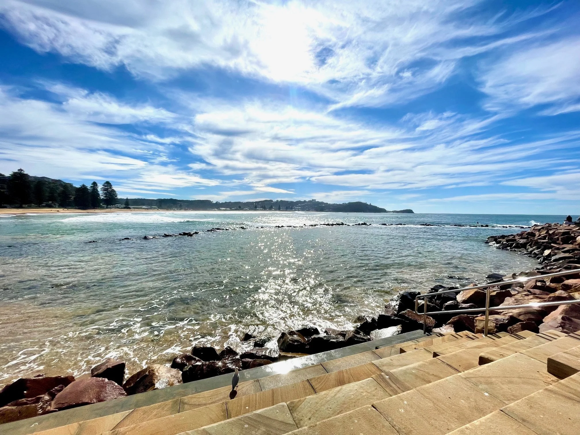 ↑  February: A Lonely Seagull, Glenda Griffiths