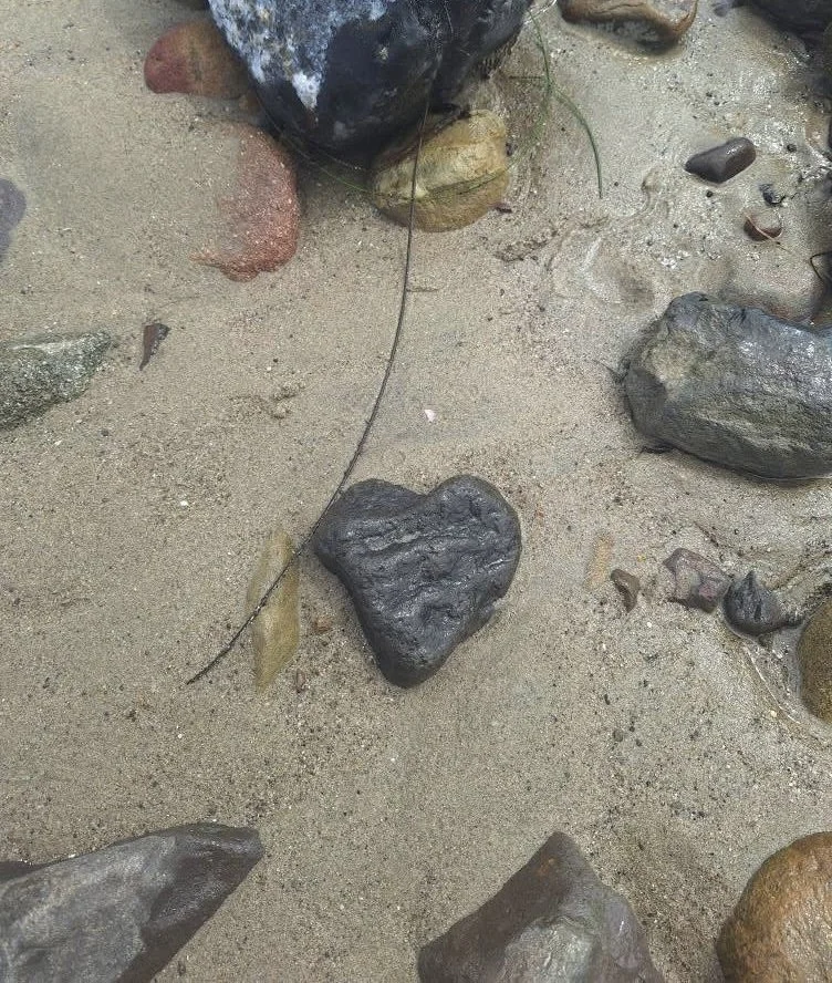 ↑  March, My Heart belong to Avoca Beach by Karen Deacon