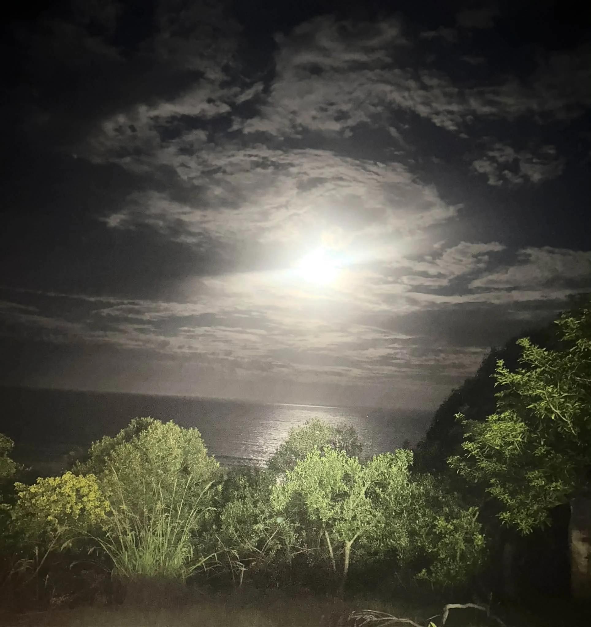 ↑   APRIL Avoca by Night by Thomas Grace (age 10)