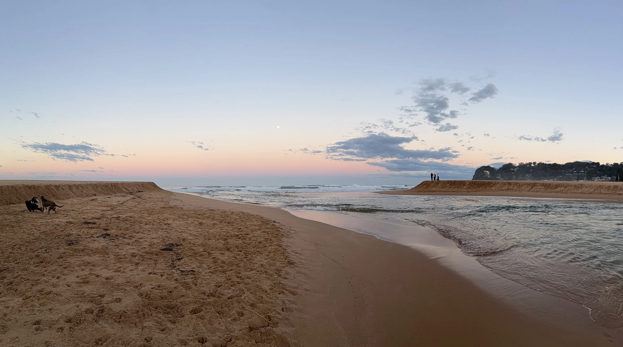 ↑  MAY WINNER! A Tail of two Beaches by Victoria Brockman