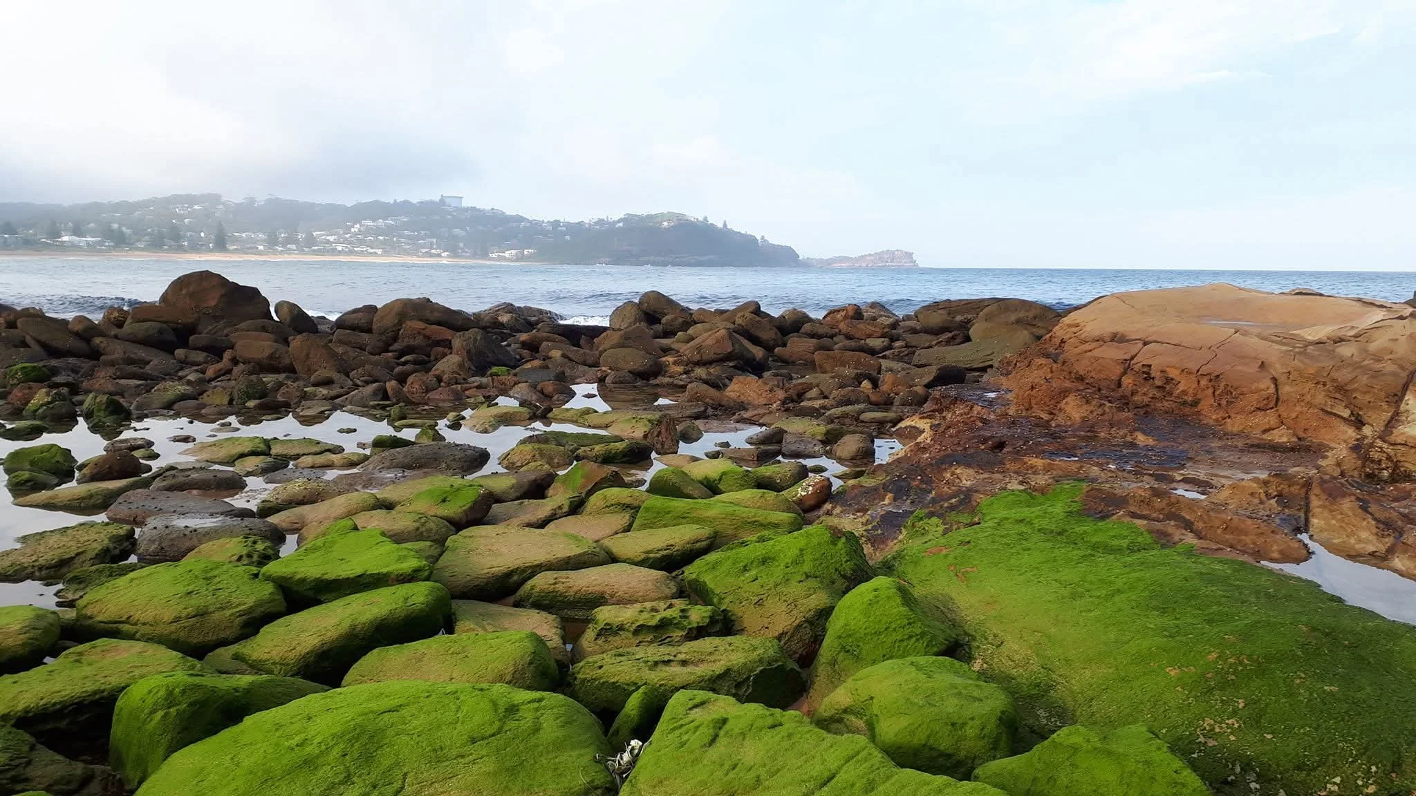 ↑  JUNE WINNER! ‘Moss on the Rocks’ by Sarah Monteith
