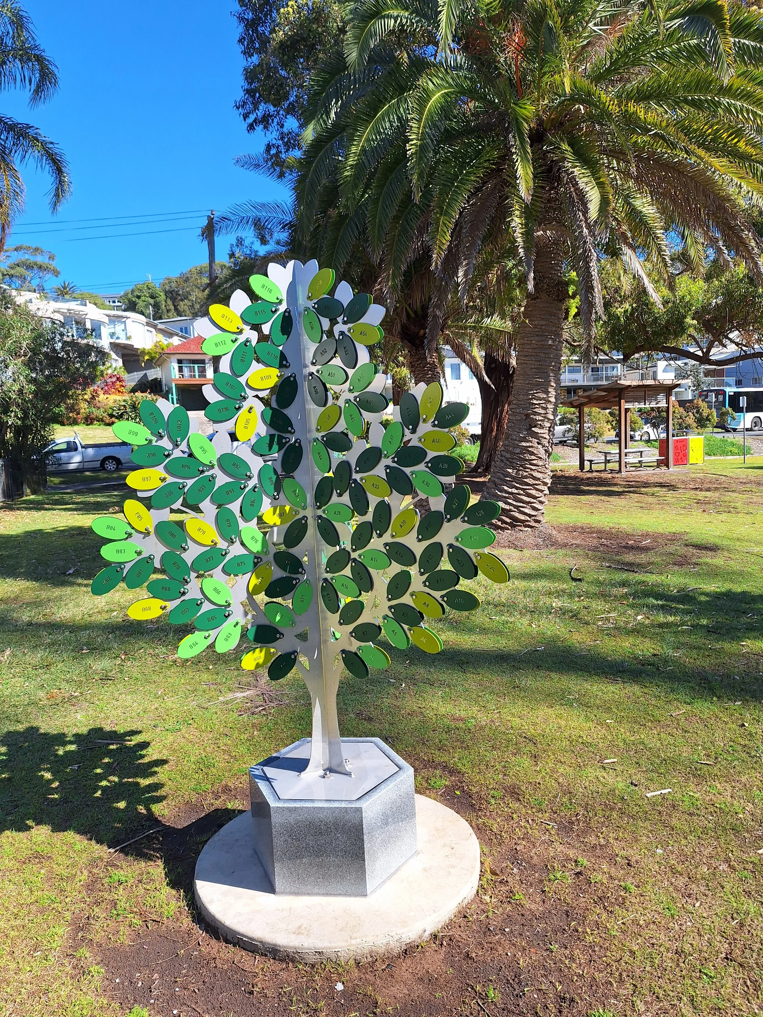 Memorial Tree in Hunter Park - ABCA’s Response to Council