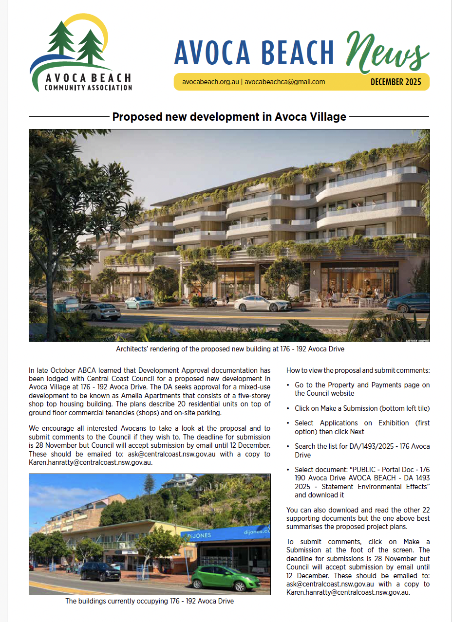 Newsletter December 2025