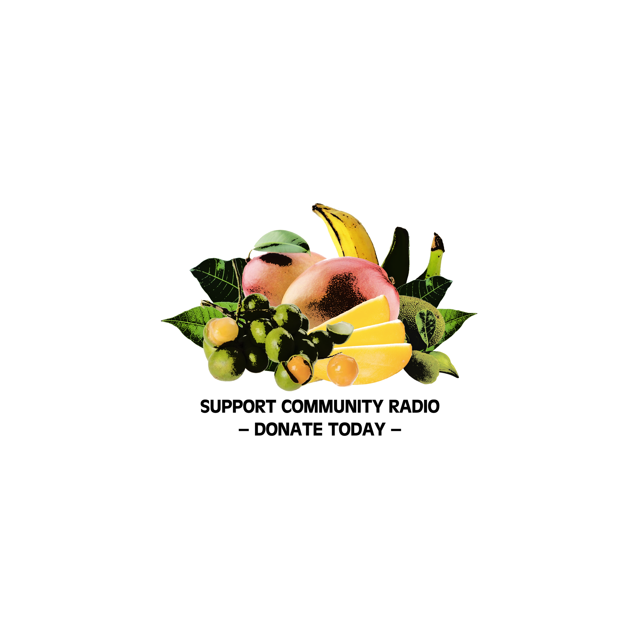 Support W.A.M. Radio