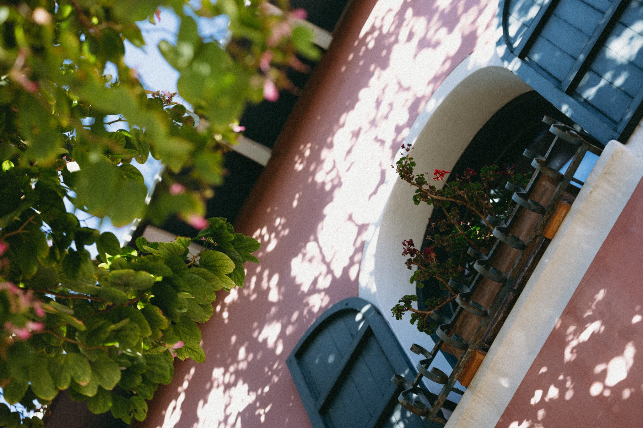 Sydney Wedding Photographer