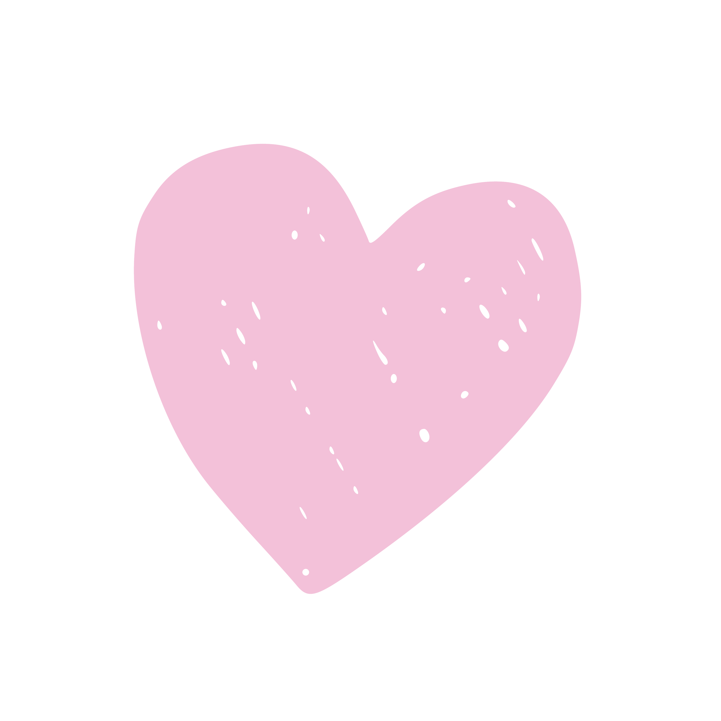 SYDNEY WEDDING PHOTOGRAPHER