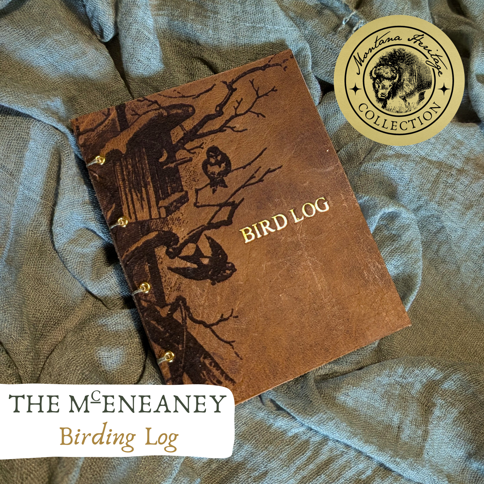 Birding Log | The McEneaney  | MTHC