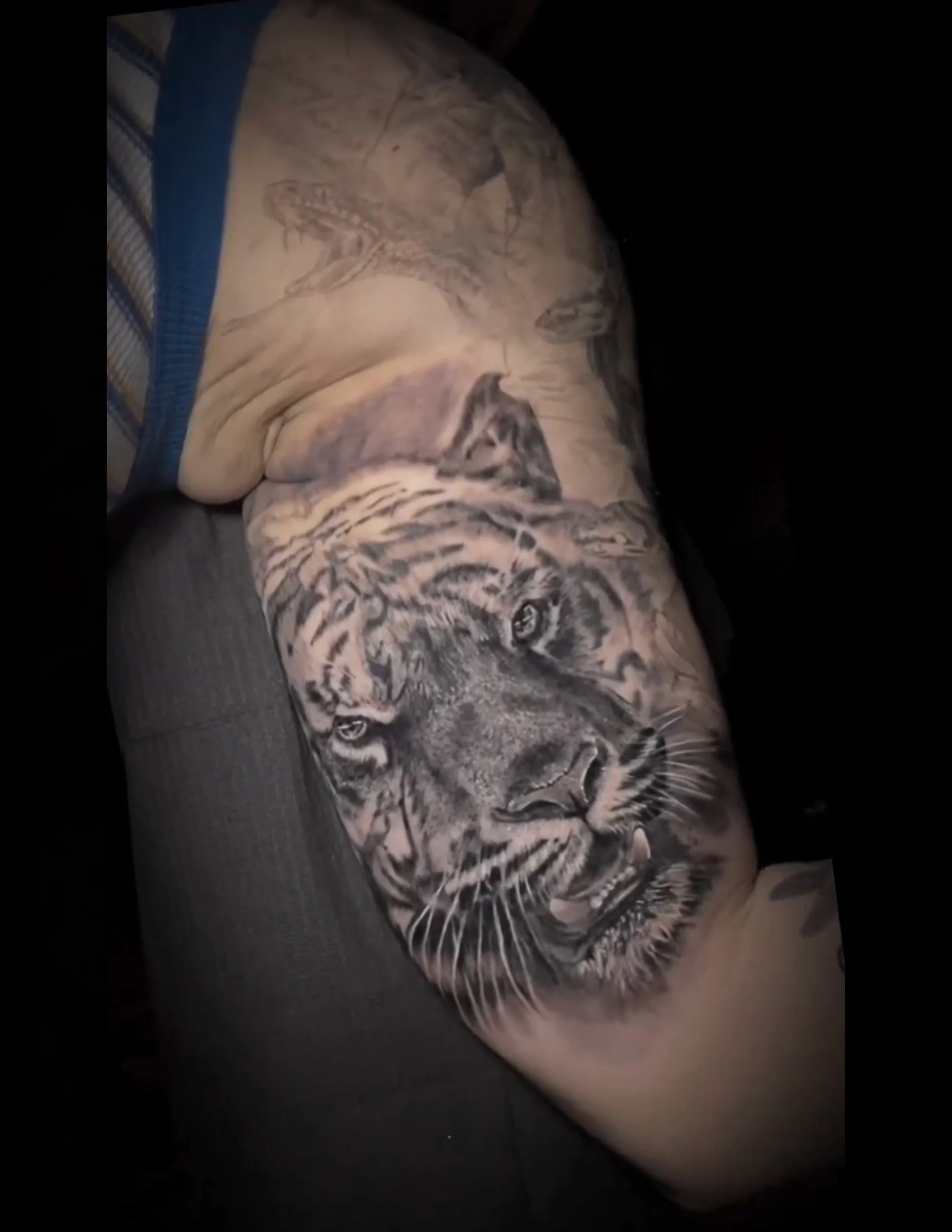 Cara Tigre BG.jpg