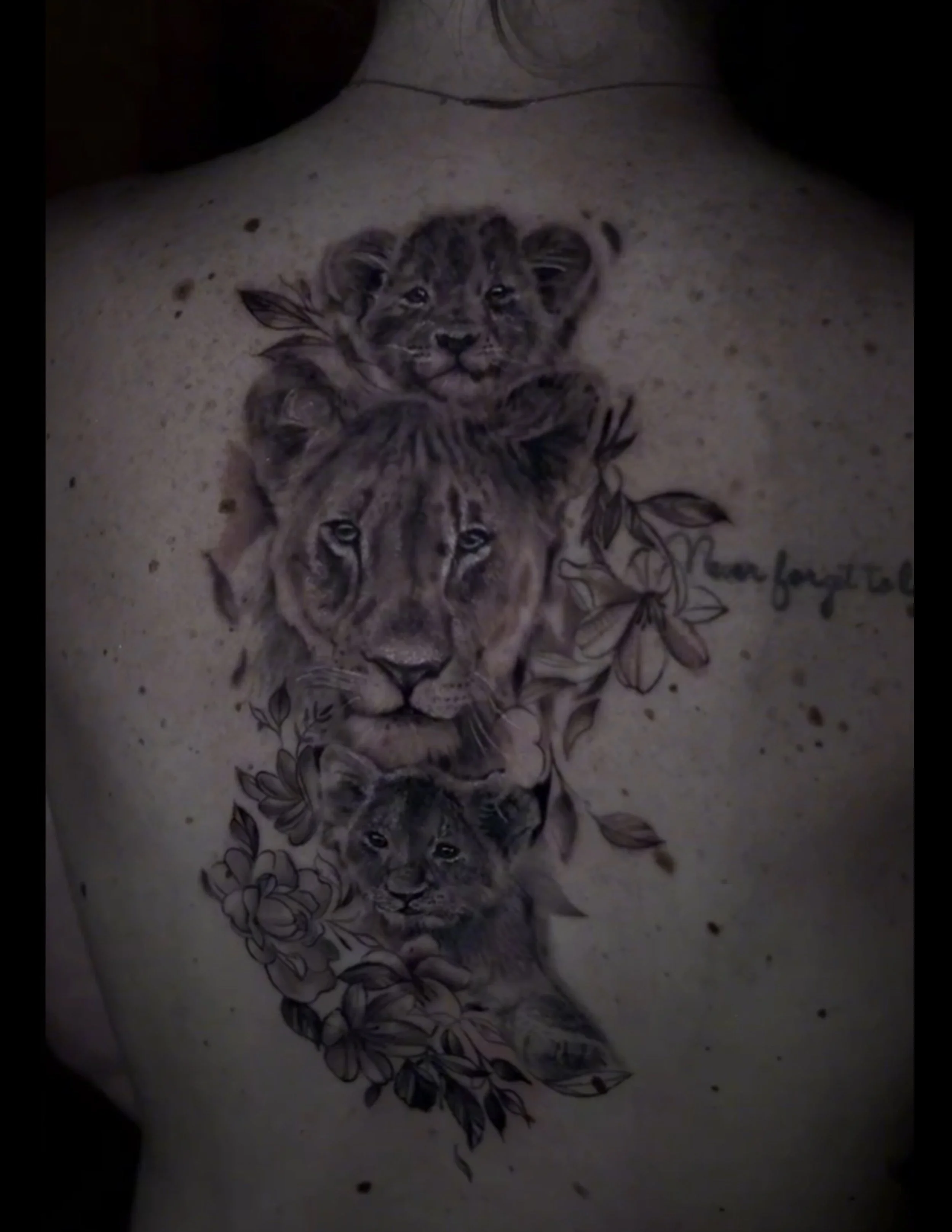 Leona con bebes BG.jpg