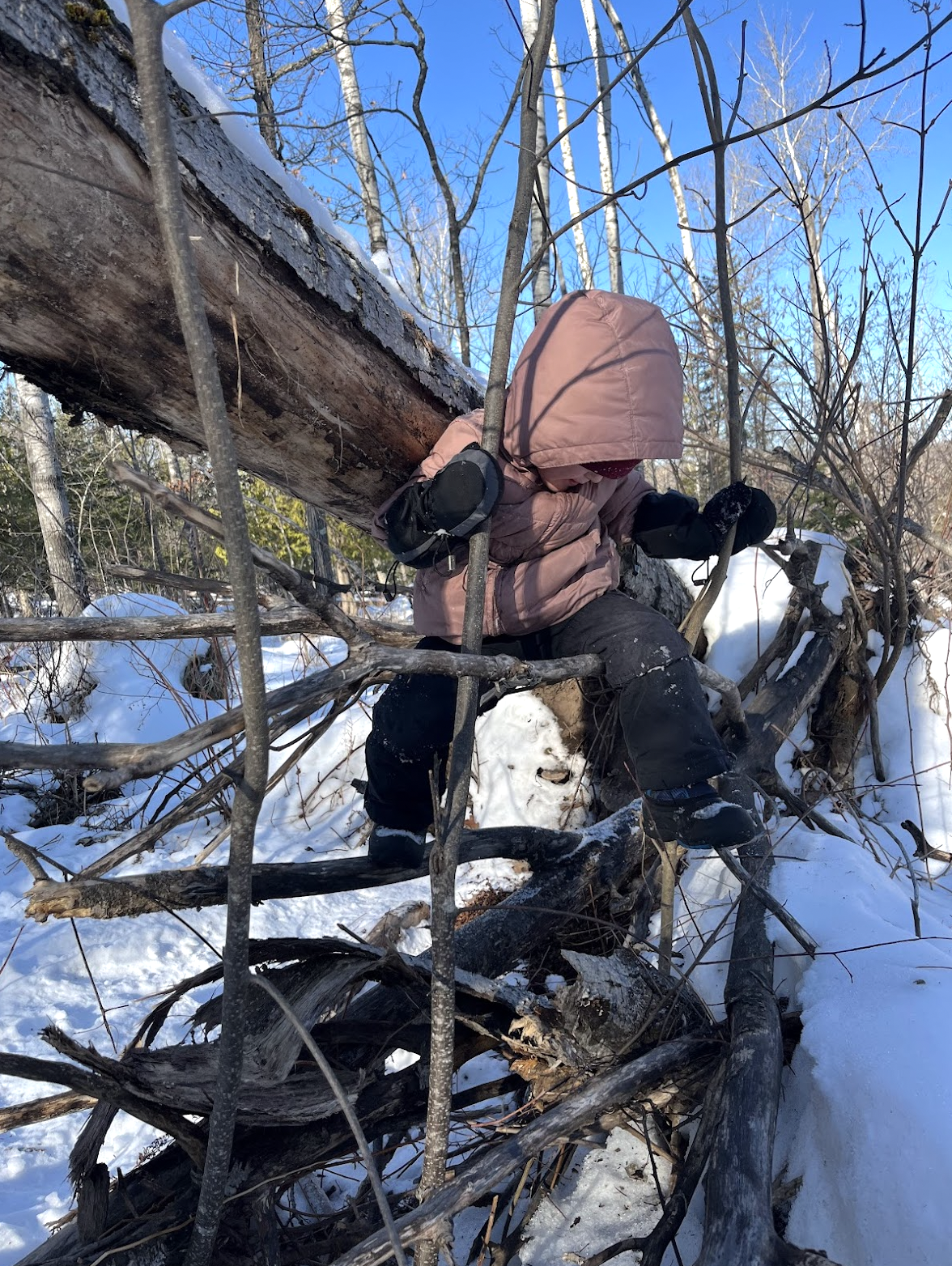 Screenshot 2026-01-27 at 13.26.52.png