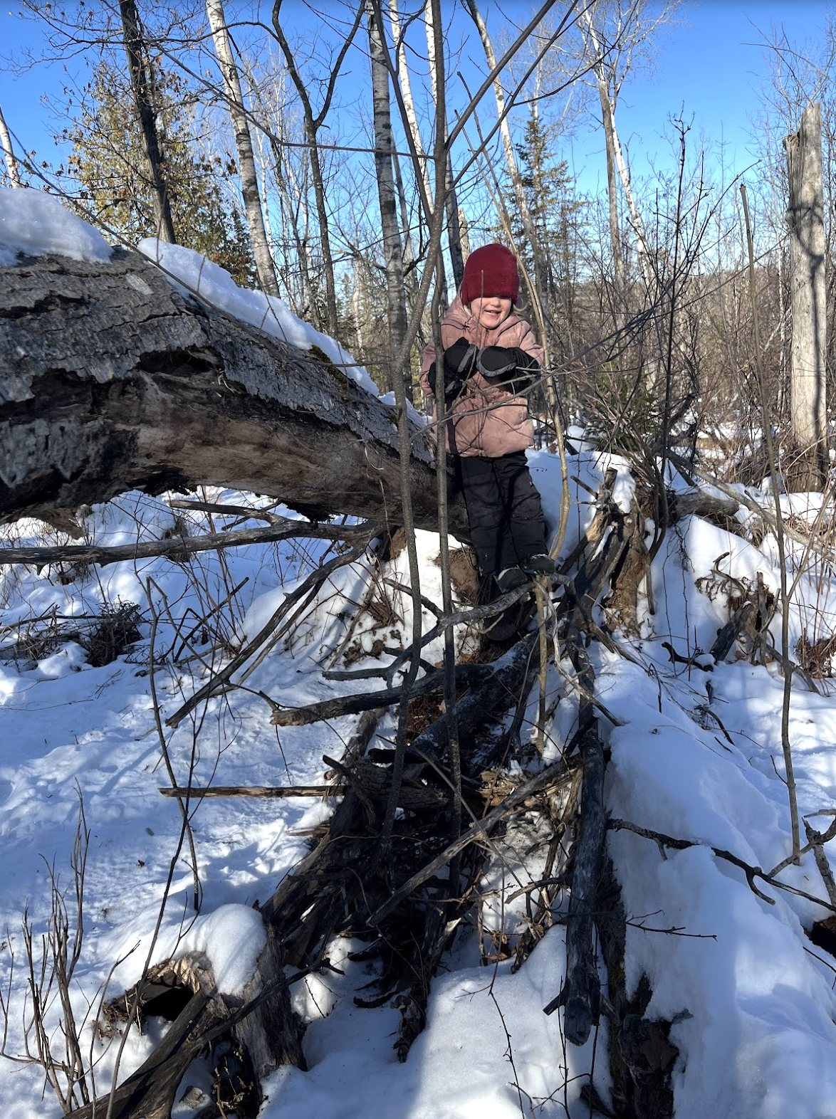 Screenshot 2026-01-27 at 13.28.56.png