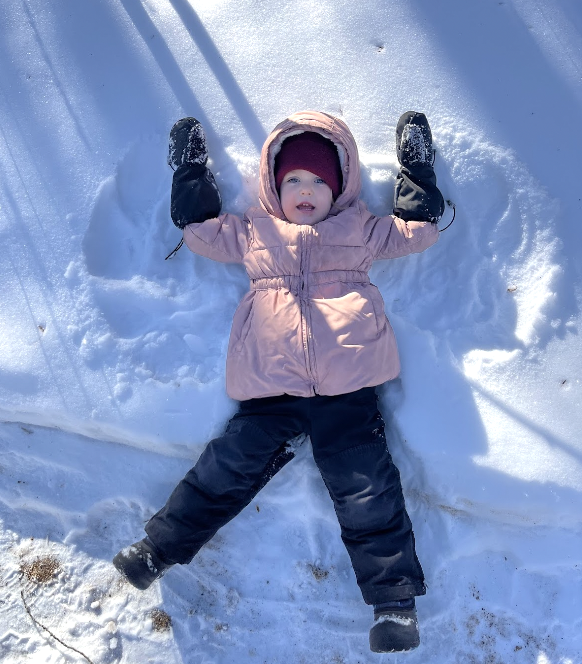 Screenshot 2026-01-27 at 13.25.32.png