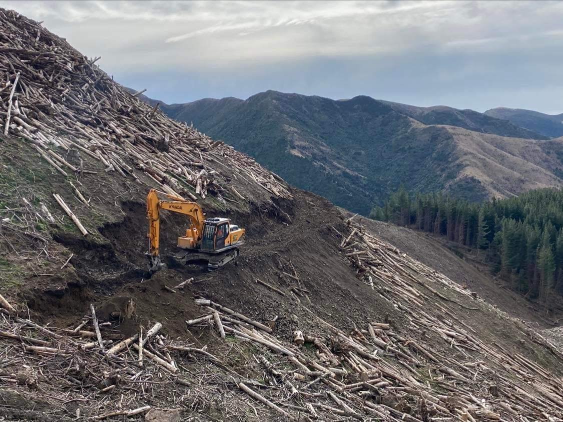 Waihopai-Valley-Marlborough-Forestry.jpg