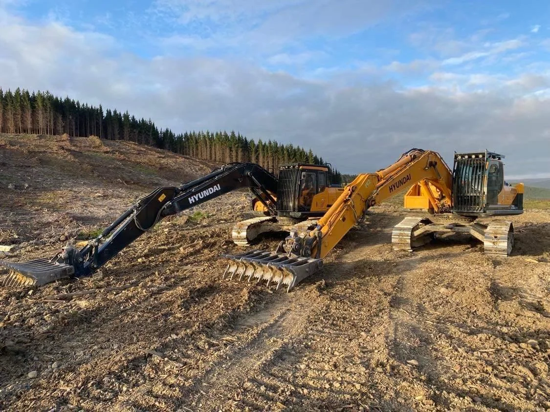 Glenaaron-Two-Diggers.jpg