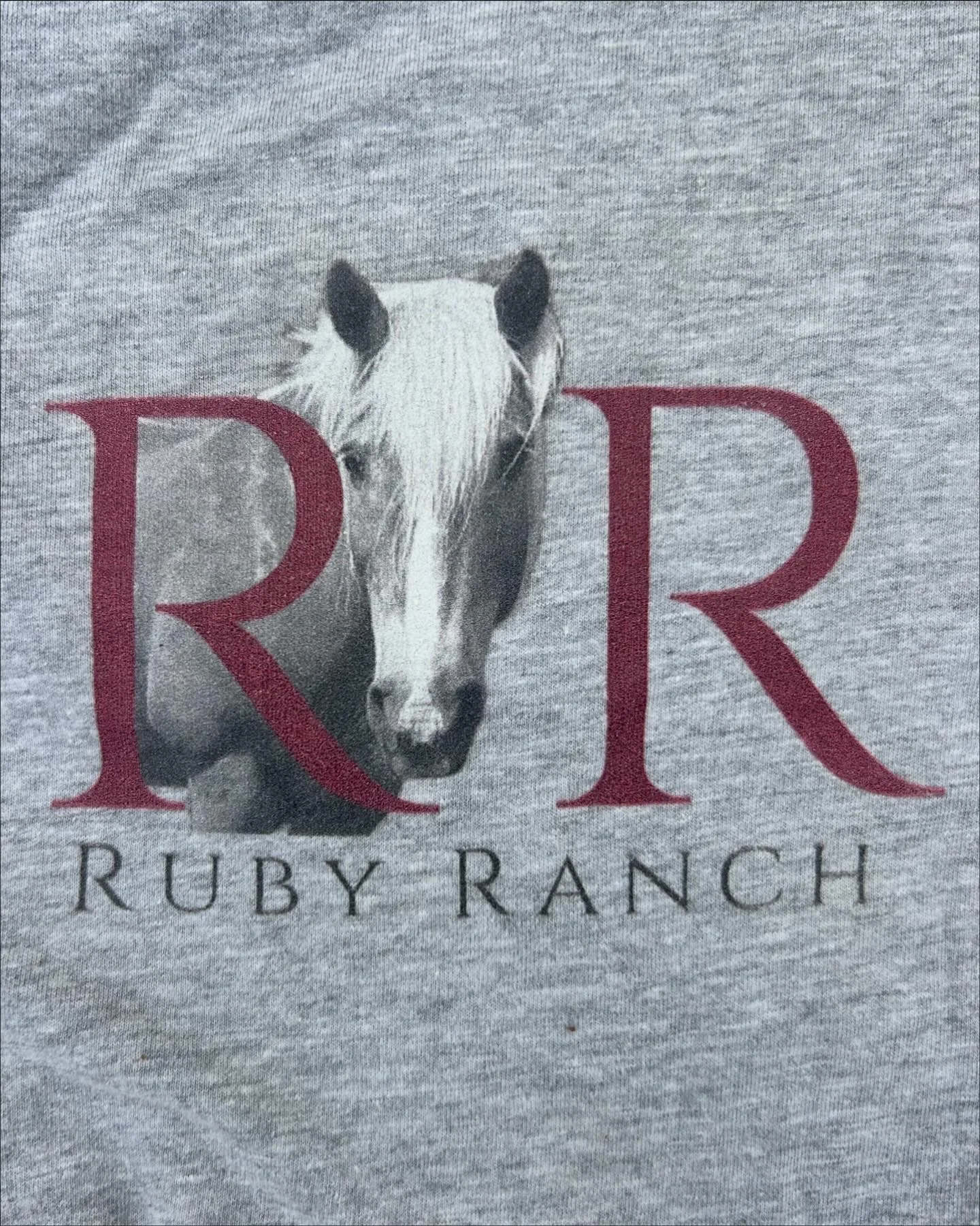 Almanzo Logo on Shirt Front