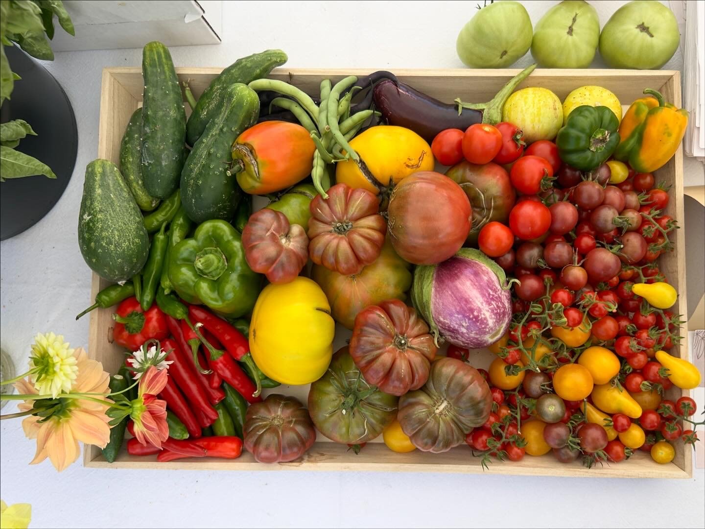 Permaculture Meet & Greet