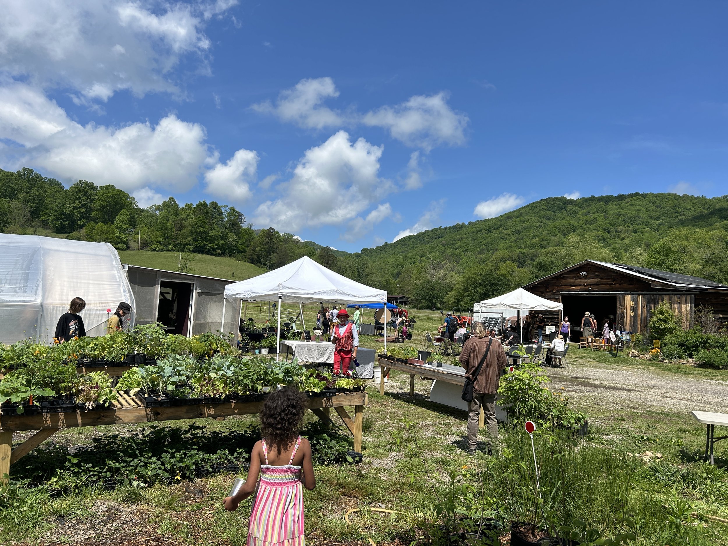 Spring Plant Sale &amp; Festival