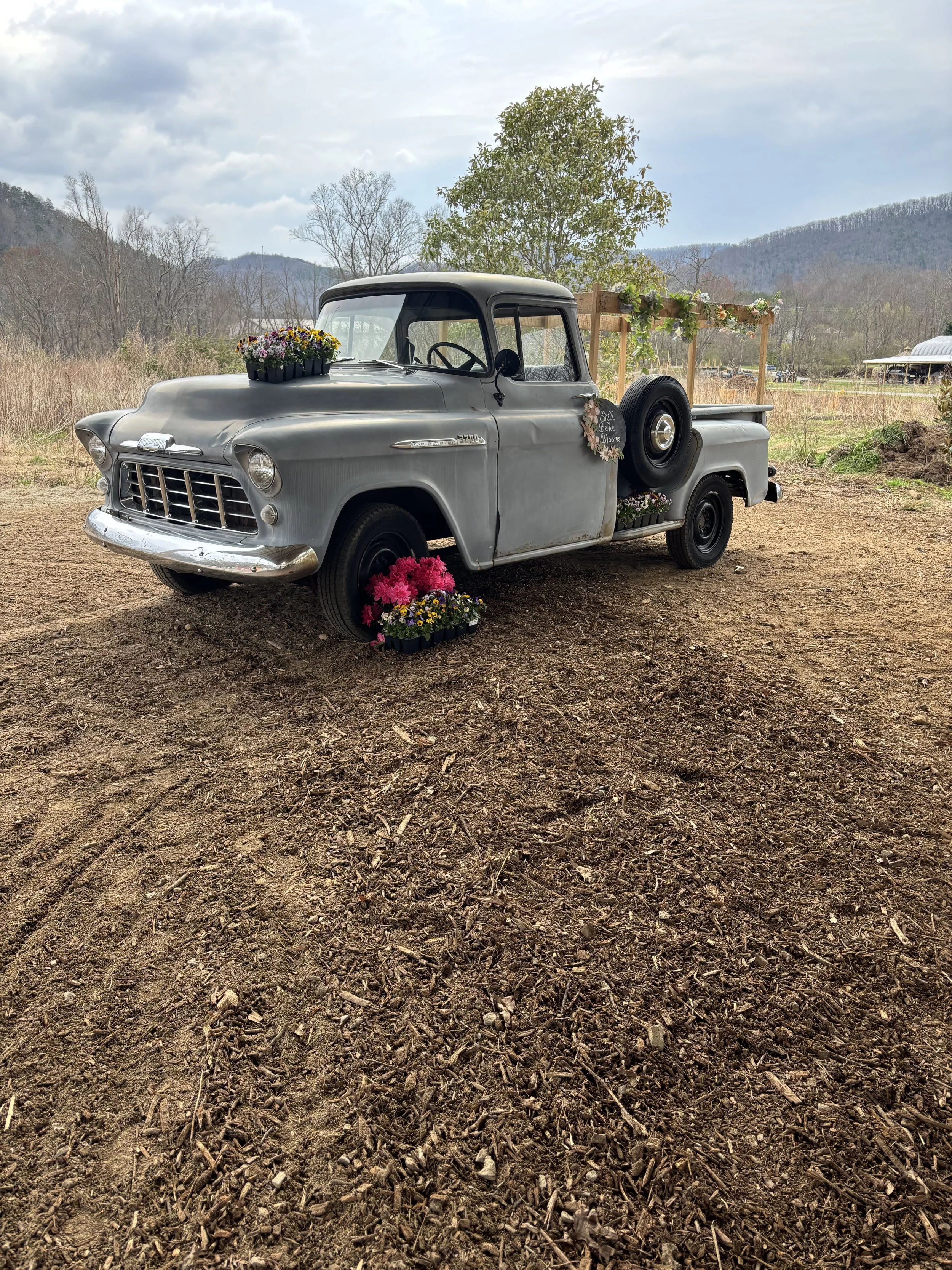 Micro Family Portraits at the Spring Garden Fair