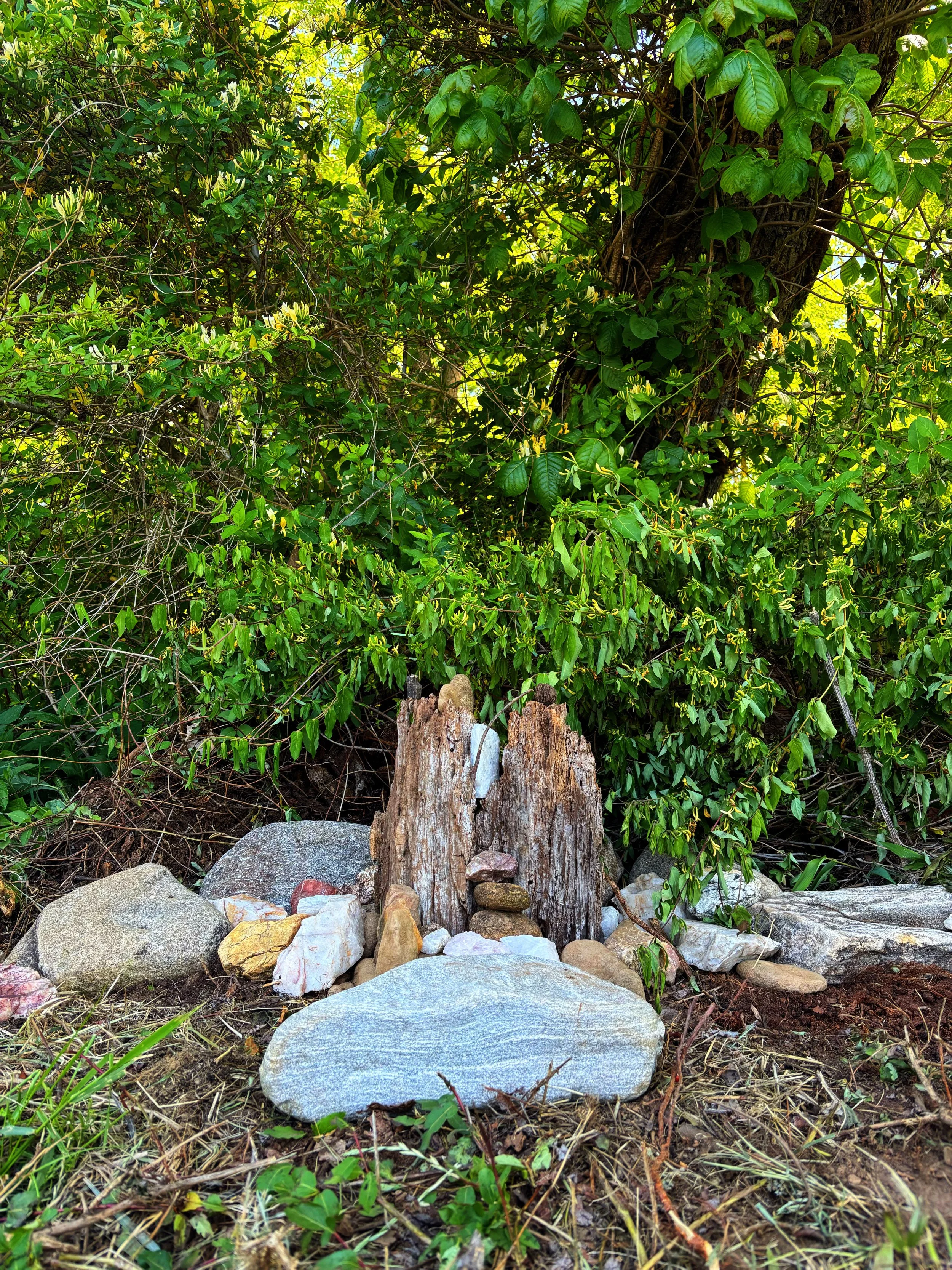 Yoga by the Creek
