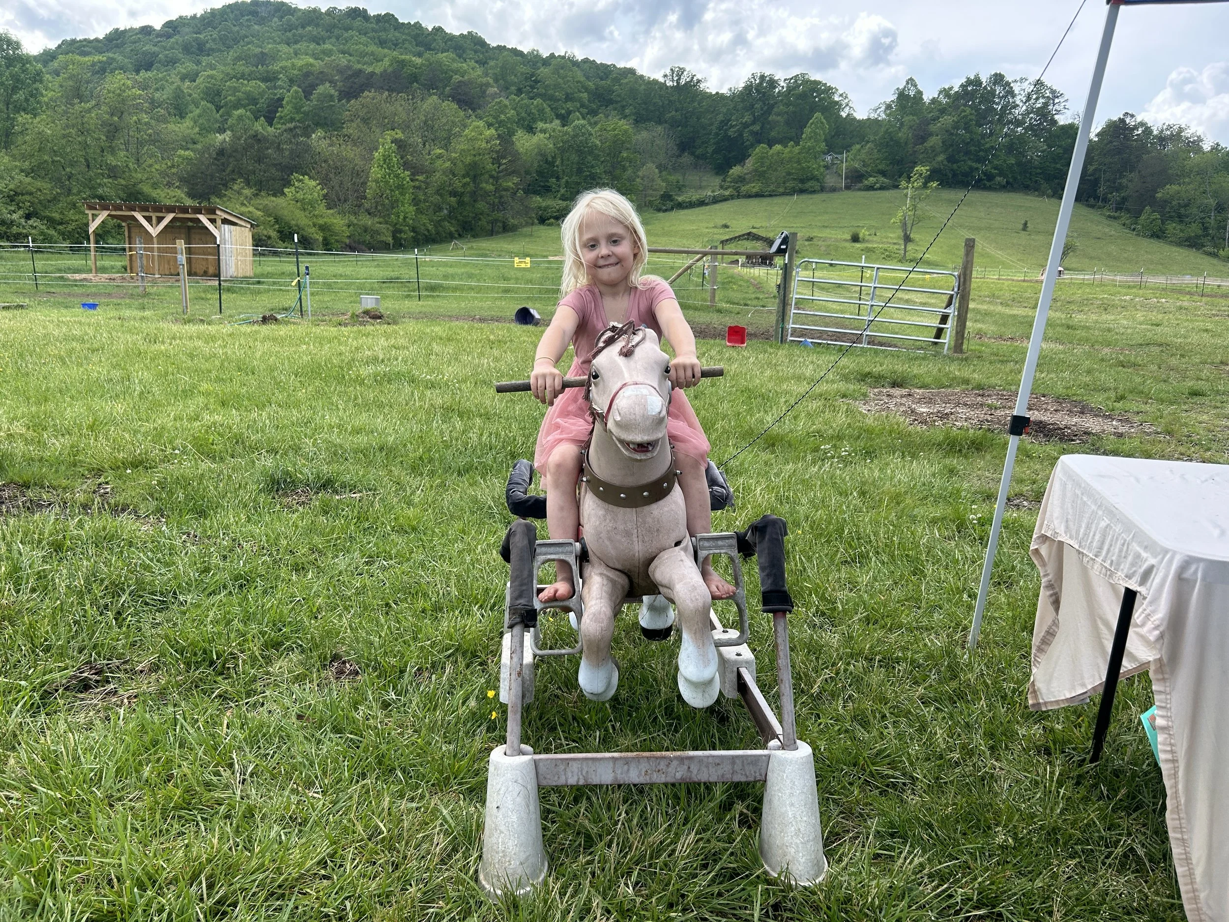 Horse girl in training
