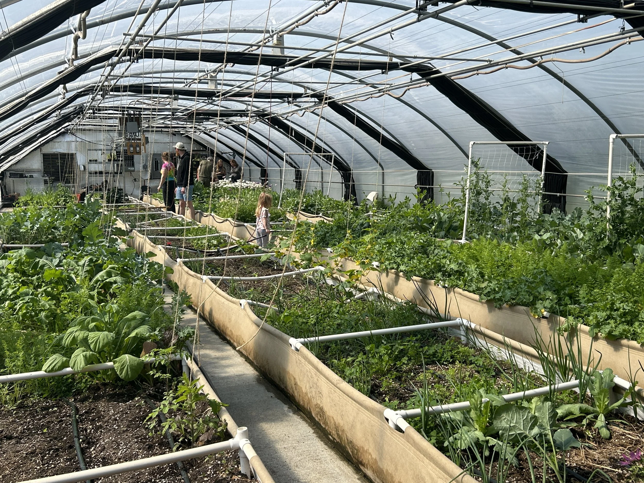Grow and harvest greenhouse